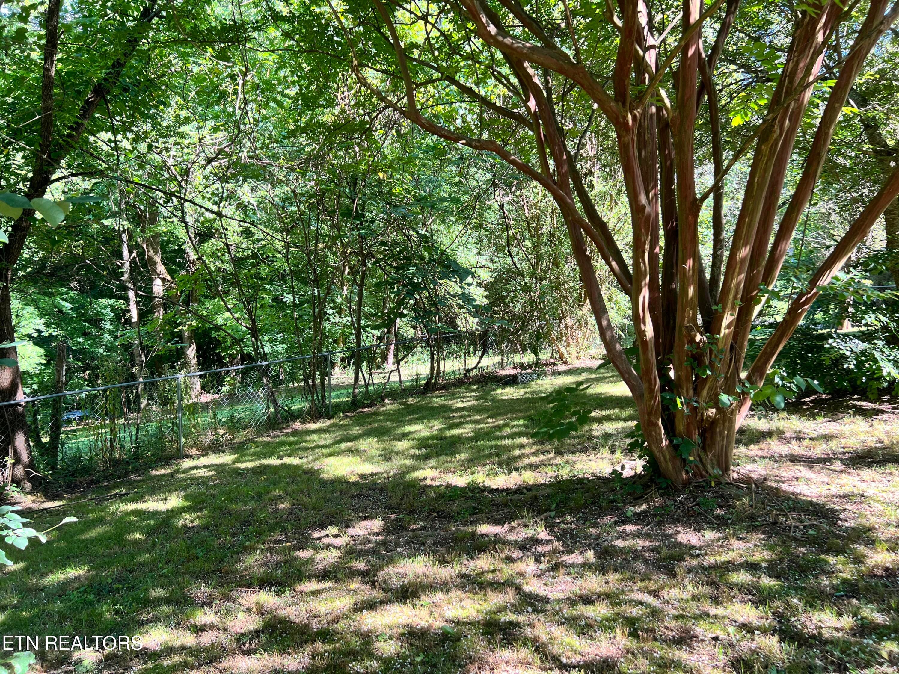 IMG_1927 - 1455 Davis Chapel Rd, LaFollette, TN 37766