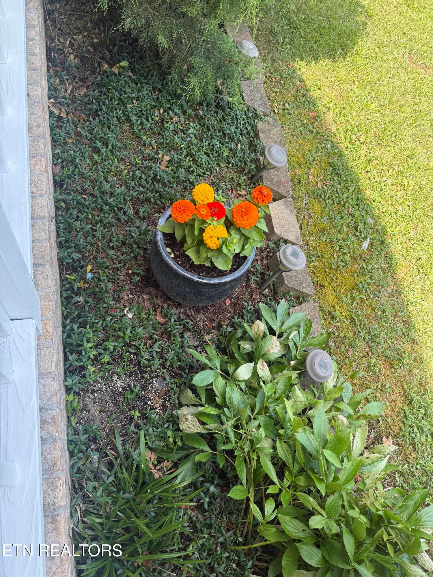 COLORFUL FLOWER BED - 6032 Newington Lane, Knoxville, TN 37912, Knoxville