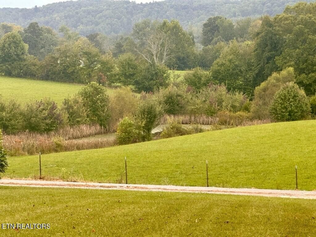 239532_7 - 12343 Griffith Rd, Pikeville, TN 37367
