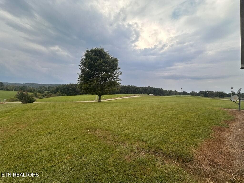 239532_8 - 12343 Griffith Rd, Pikeville, TN 37367