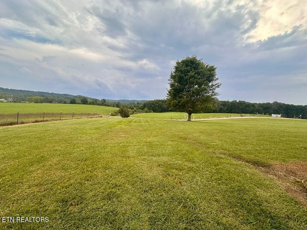 239532_9 - 12343 Griffith Rd, Pikeville, TN 37367