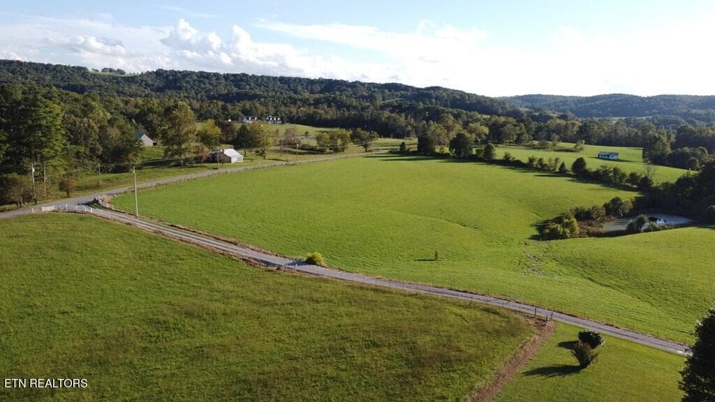 239532_32 - 12343 Griffith Rd, Pikeville, TN 37367
