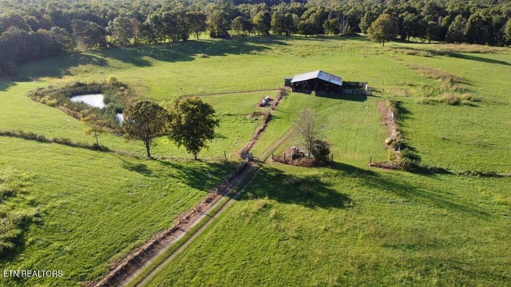 239532_36 - 12343 Griffith Rd, Pikeville, TN 37367