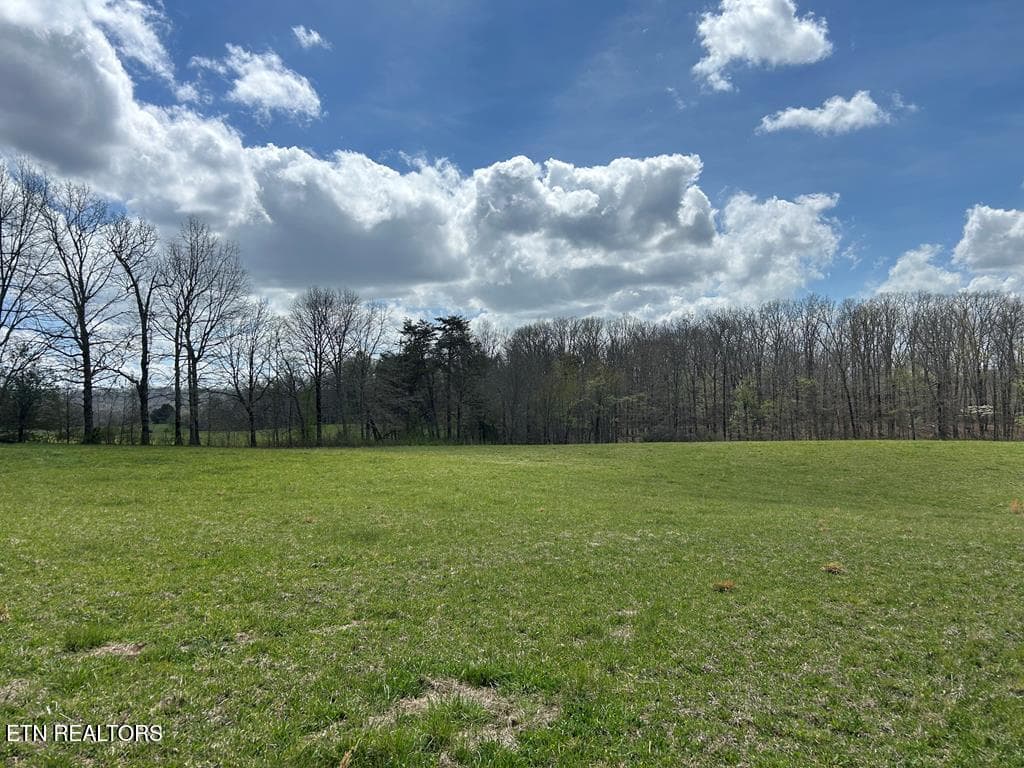 239532_47 - 12343 Griffith Rd, Pikeville, TN 37367