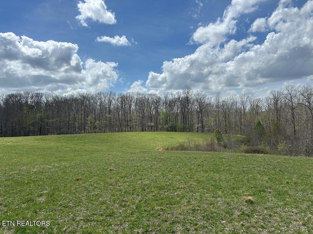 239532_48 - 12343 Griffith Rd, Pikeville, TN 37367