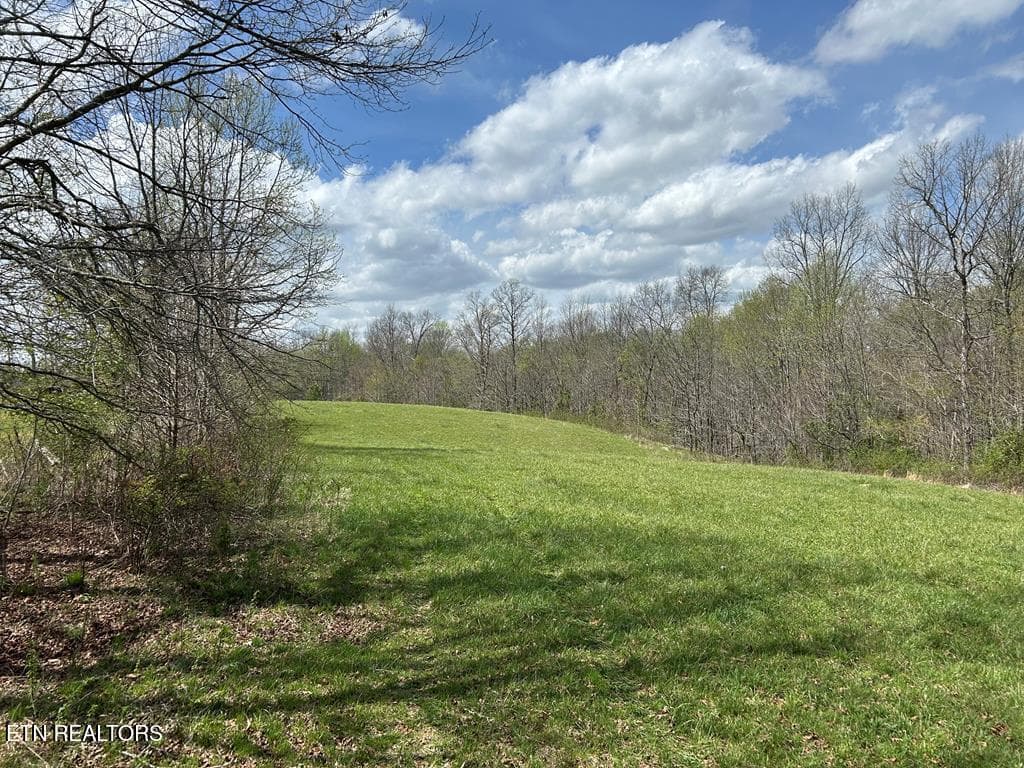 239532_49 - 12343 Griffith Rd, Pikeville, TN 37367