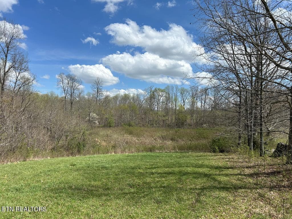 239532_50 - 12343 Griffith Rd, Pikeville, TN 37367