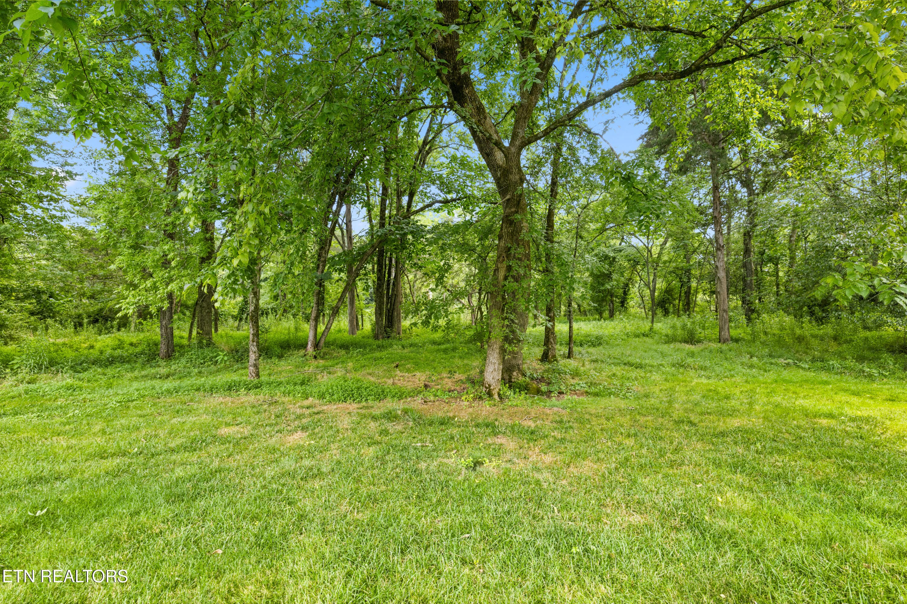 Positive Perceptions-57 - 615 Gwinhurst Rd, Knoxville, TN 37934