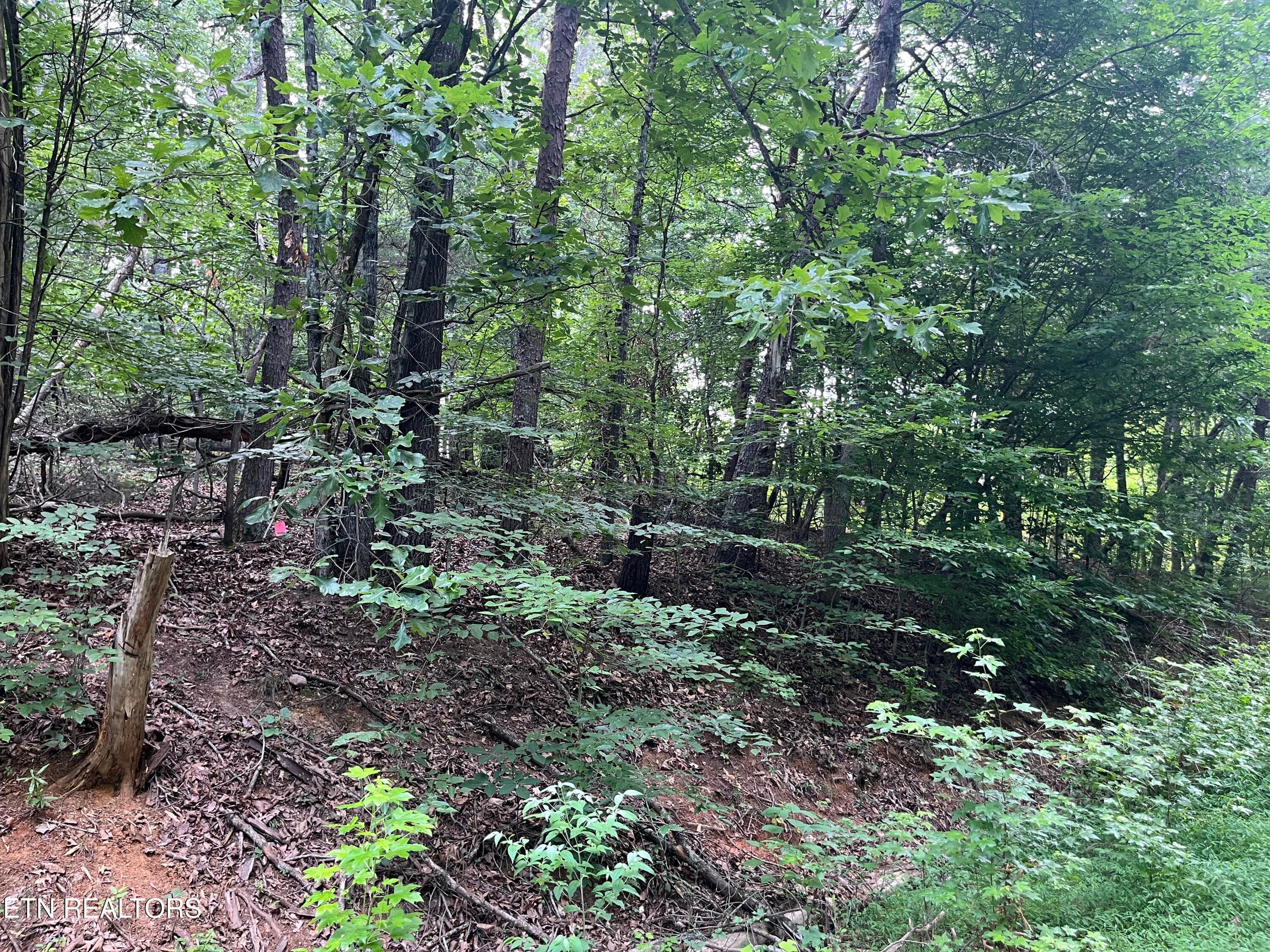 3278 Hillside Rd, White Pine, TN 37890