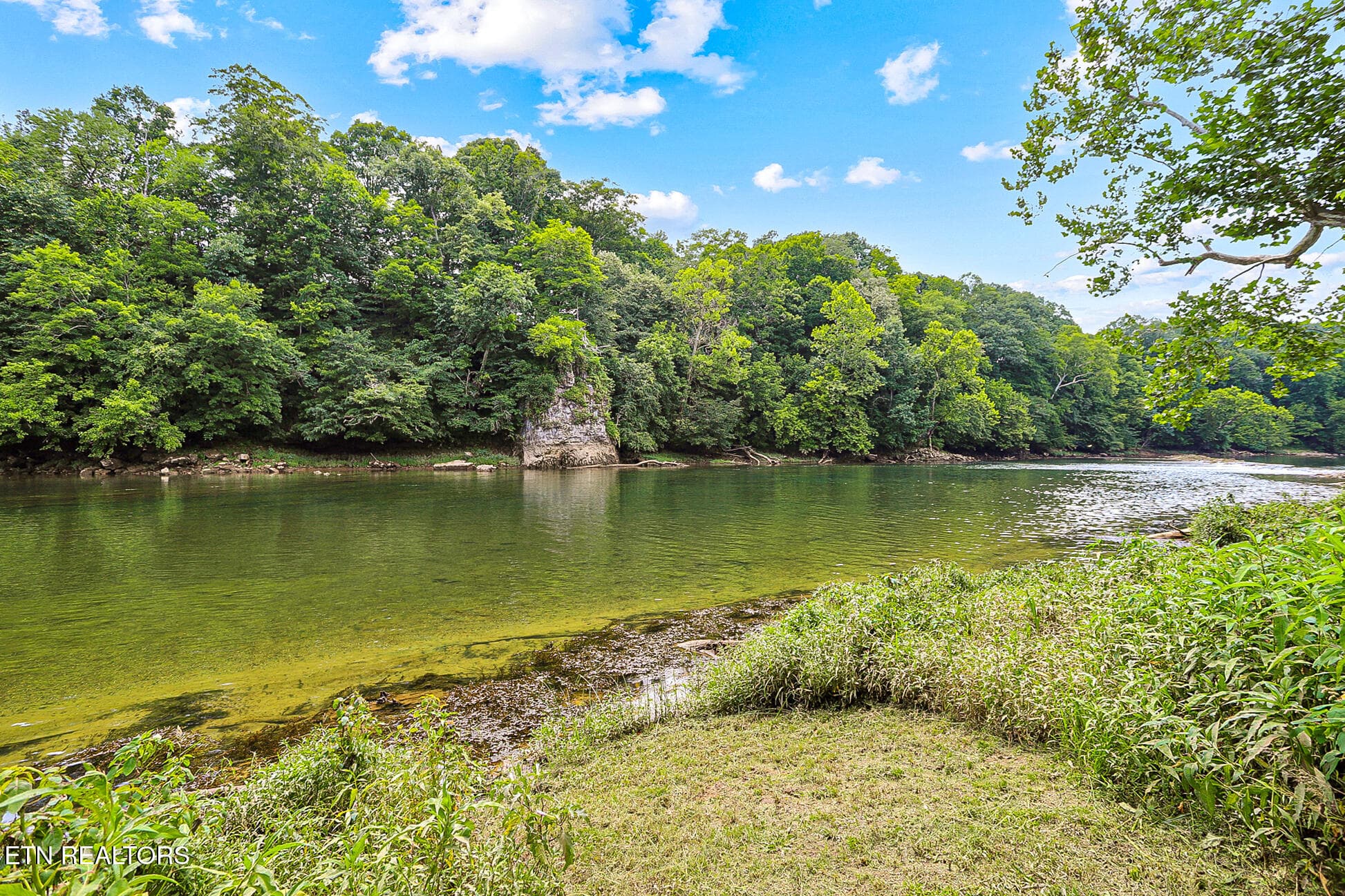 1945 River Mist Cir-316 - 1945 River Mist Circle, New Market, TN 37820, New Market