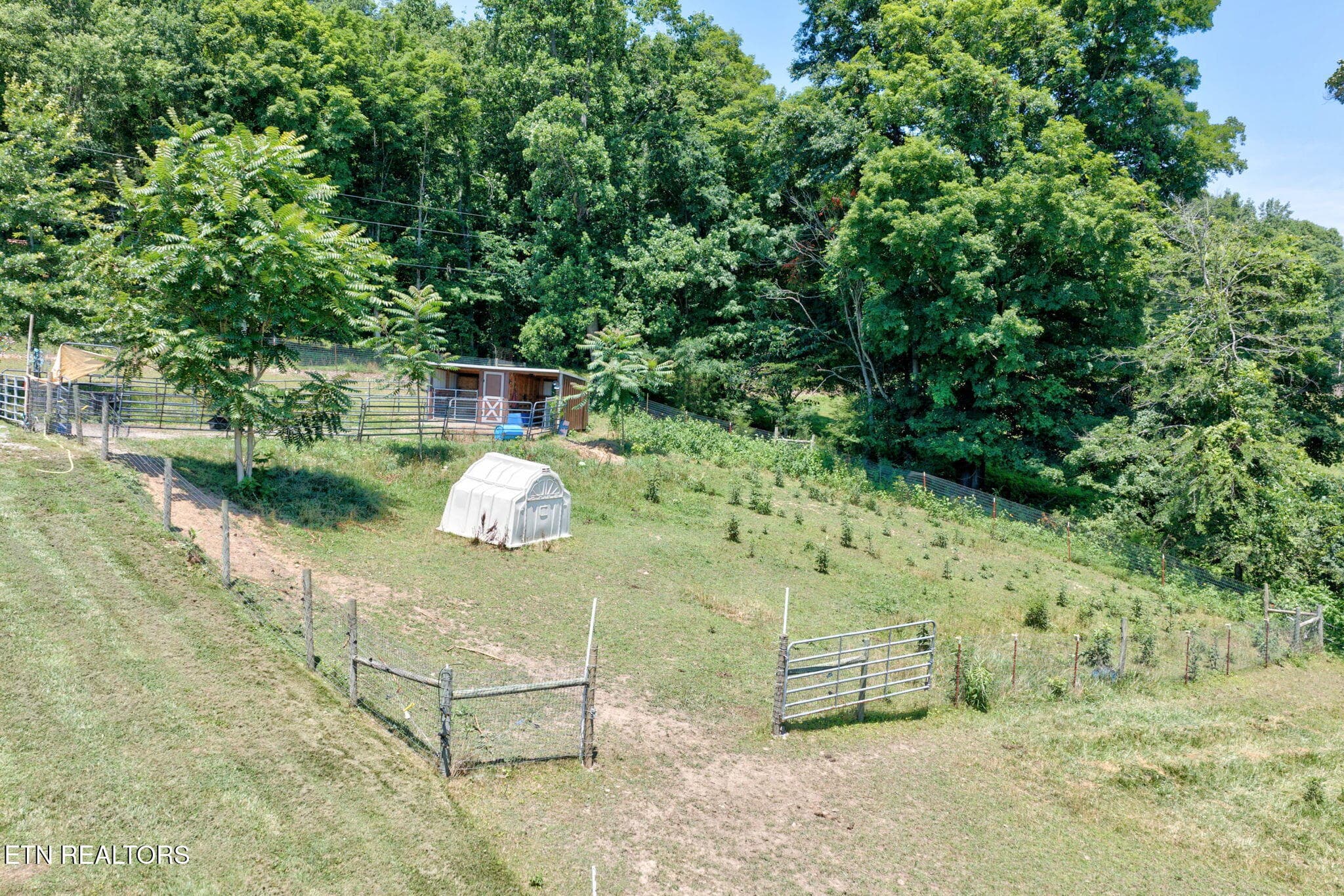 29-web-or-mls-1252 Shellotte Loop_143_TN - 1252 Shellotte Loop, Pall Mall, TN 38577