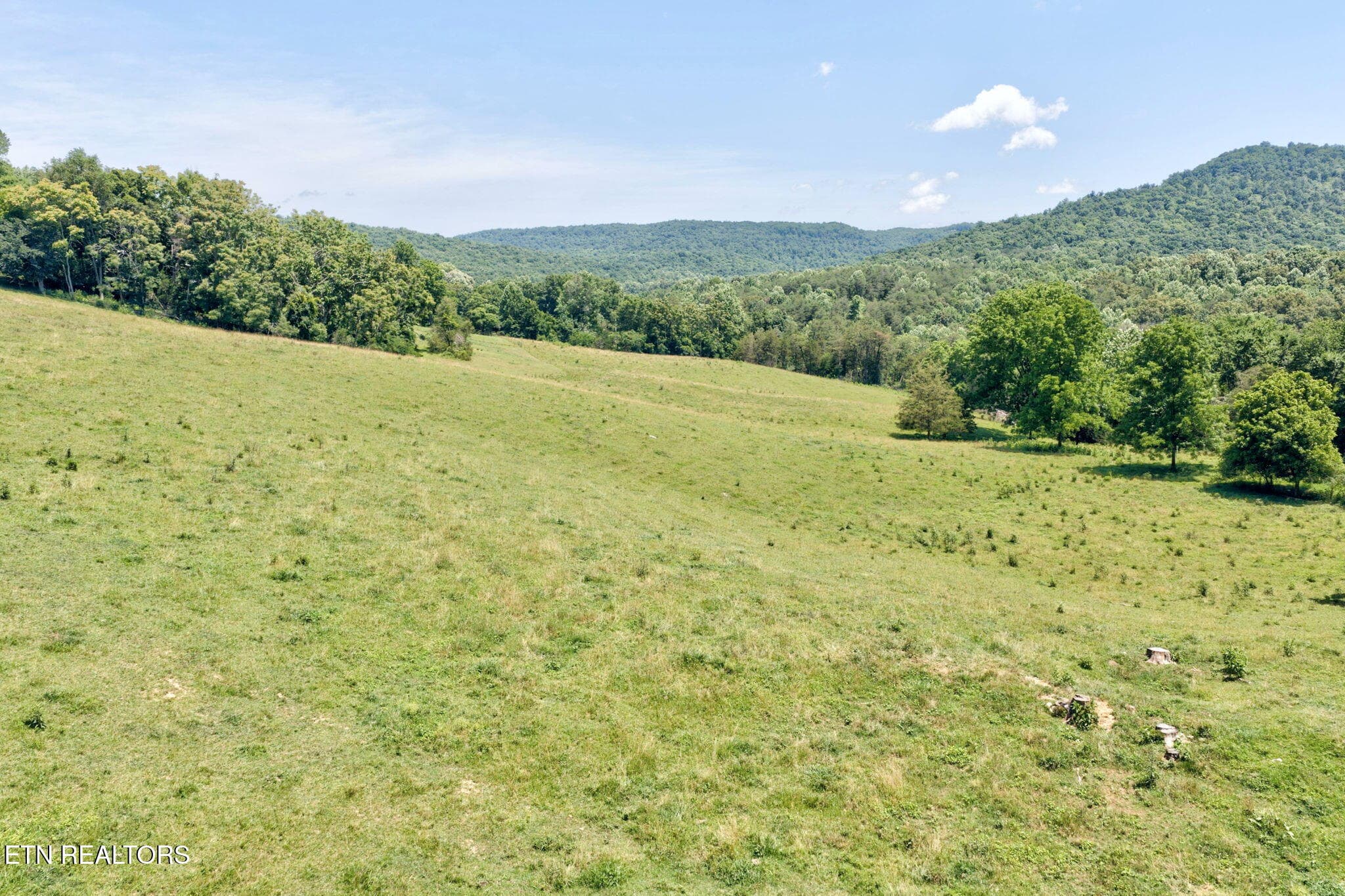 58-web-or-mls-1252 Shellotte Loop_286_TN - 1252 Shellotte Loop, Pall Mall, TN 38577