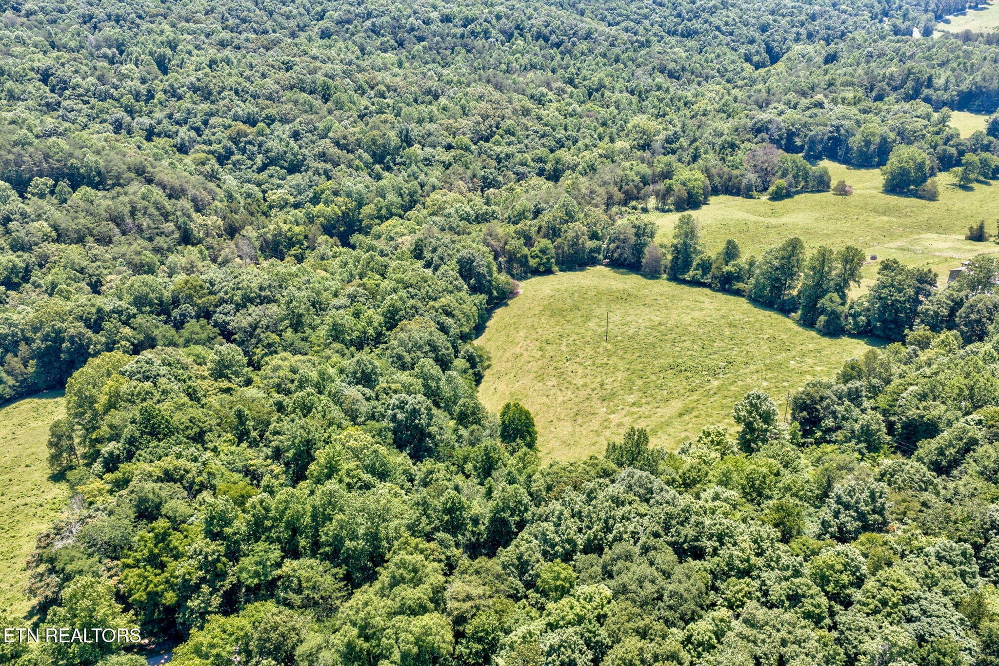 65-web-or-mls-1252 Shellotte Loop_321_TN - 1252 Shellotte Loop, Pall Mall, TN 38577