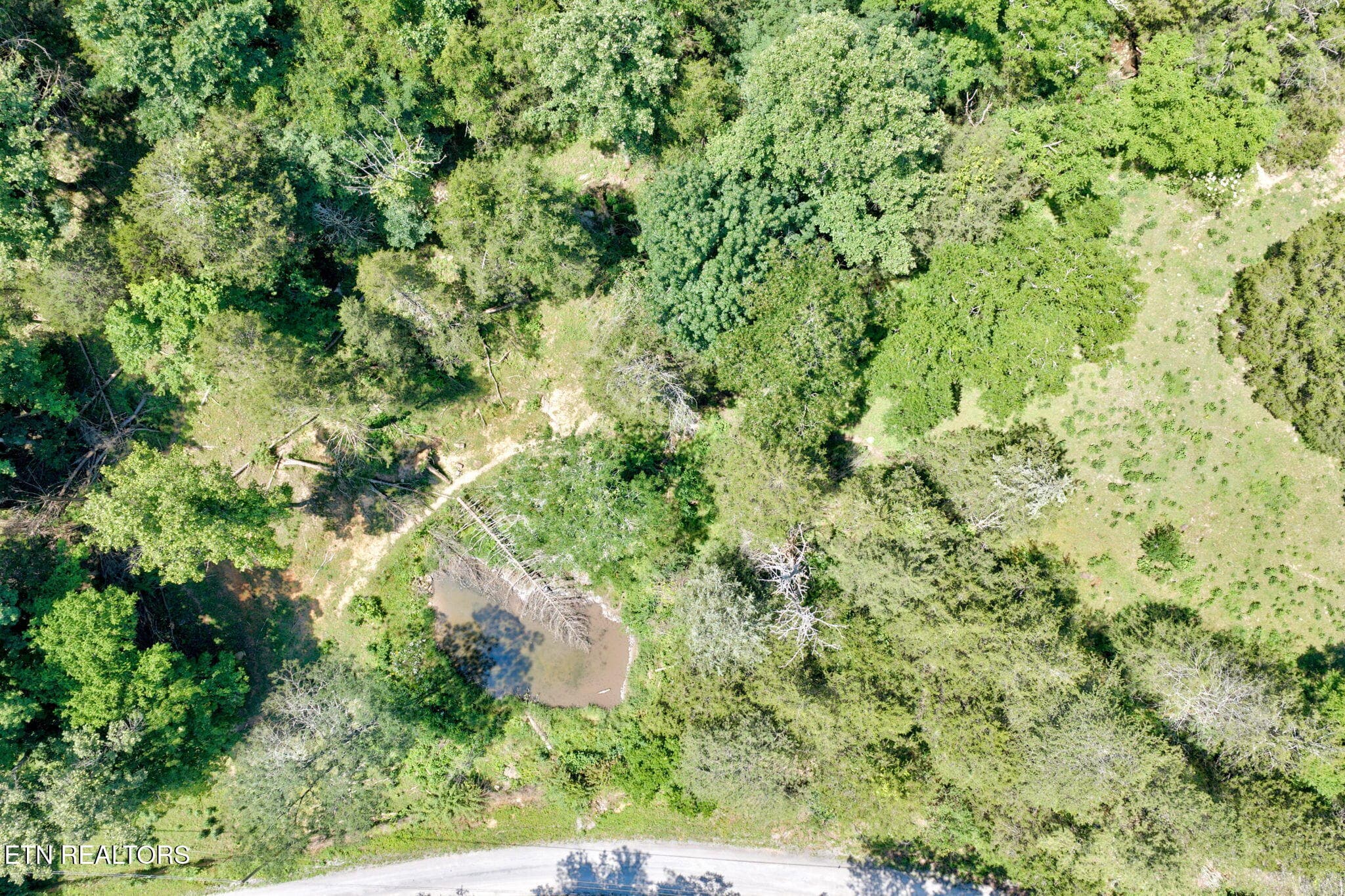 74-web-or-mls-1252 Shellotte Loop_368_TN - 1252 Shellotte Loop, Pall Mall, TN 38577