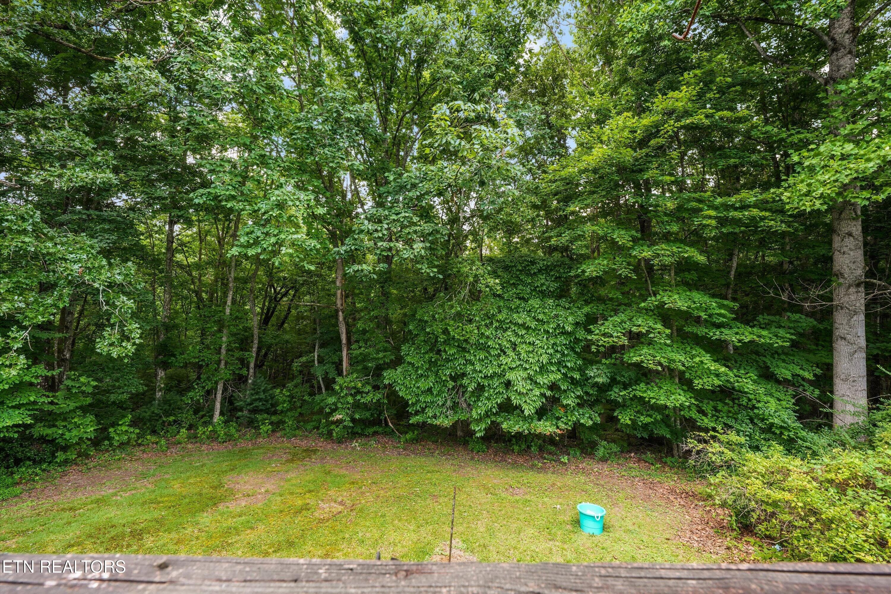 28-748 Christenson Rd 35 - 748 Christenson Rd, Deer Lodge, TN 37726