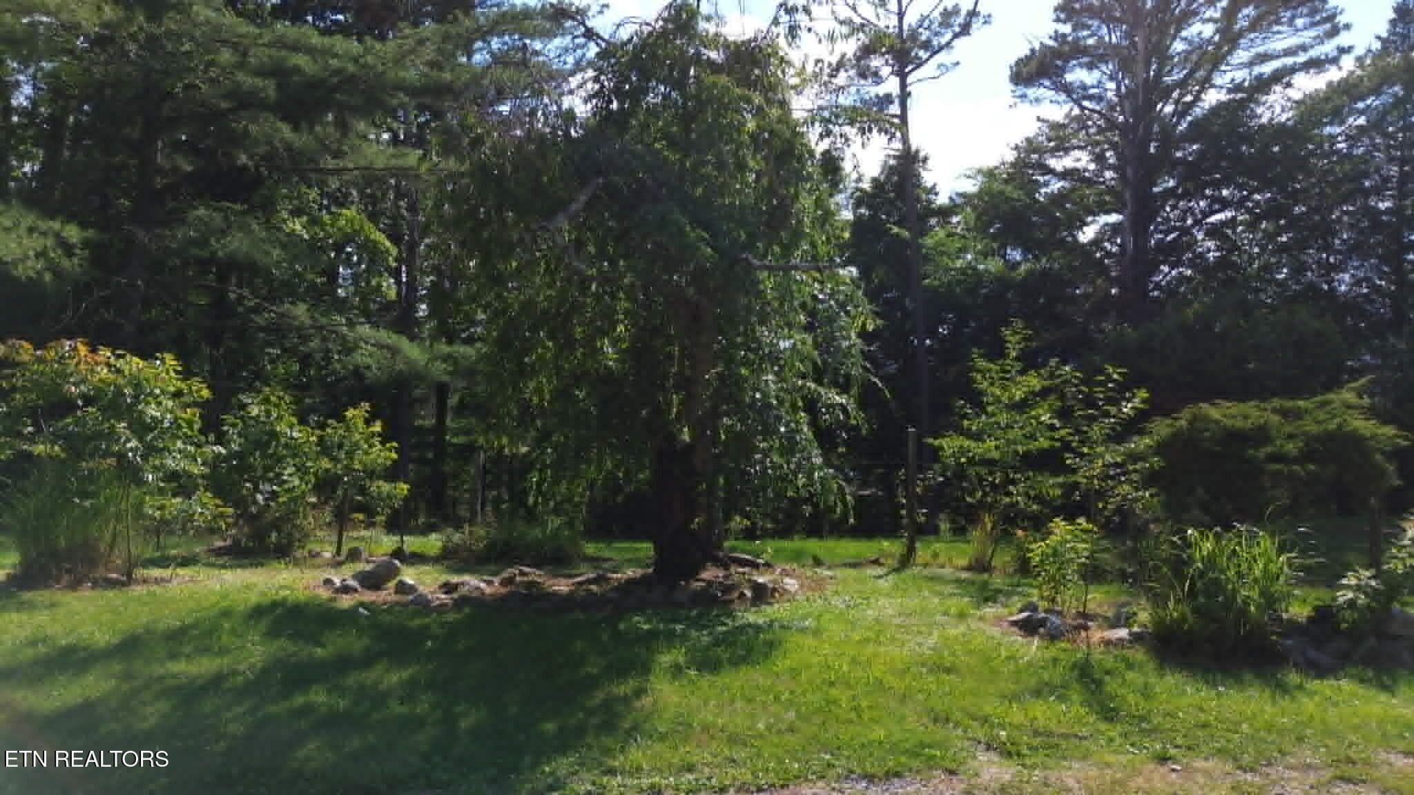 43e47372-452f-43f0-b47f-335705d0f253 - 228 Marcella Rd, Cumberland Gap, TN 37724