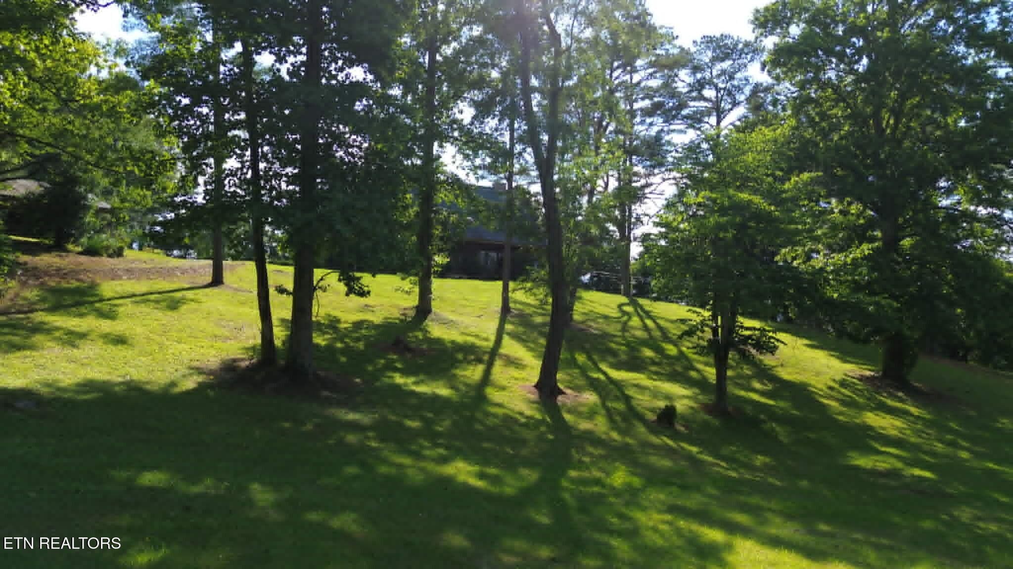 504074f8-f715-4798-9d29-5a033ca49d31 - 228 Marcella Rd, Cumberland Gap, TN 37724