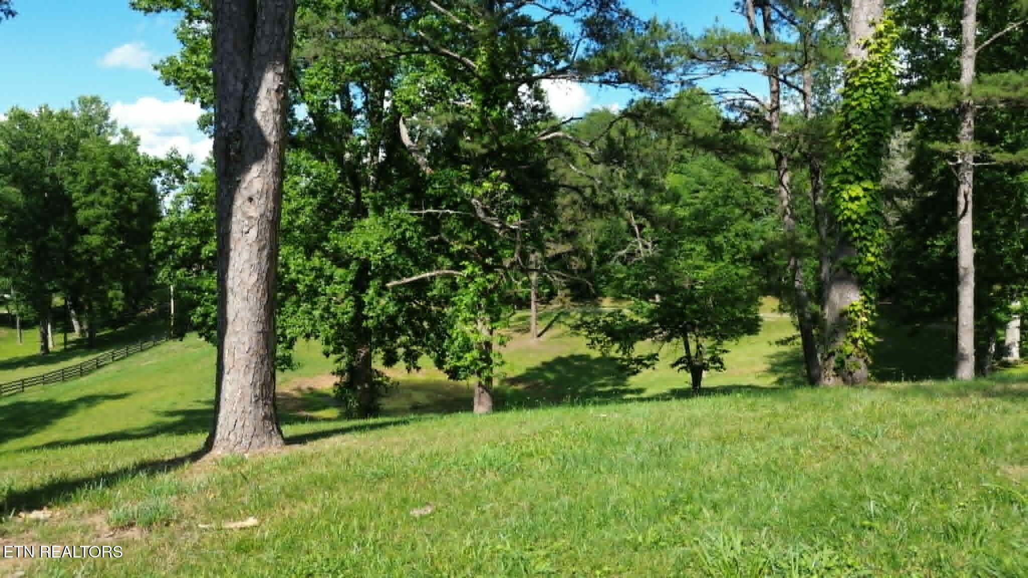 53056e17-d4b4-4db2-a29d-6eadc716ffb3 - 228 Marcella Rd, Cumberland Gap, TN 37724