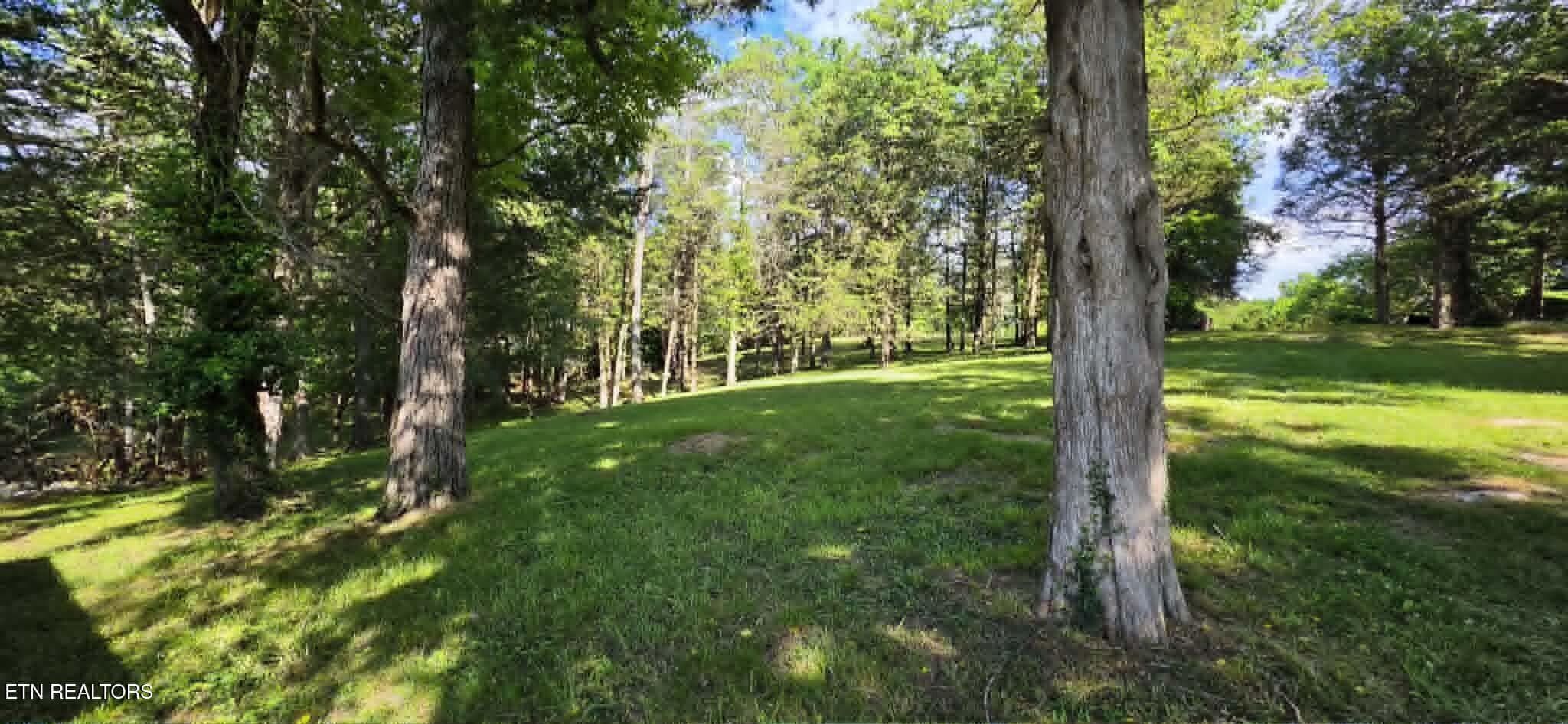 1d5ccbb4-ac30-4108-9d07-610d18b689b2 - 228 Marcella Rd, Cumberland Gap, TN 37724