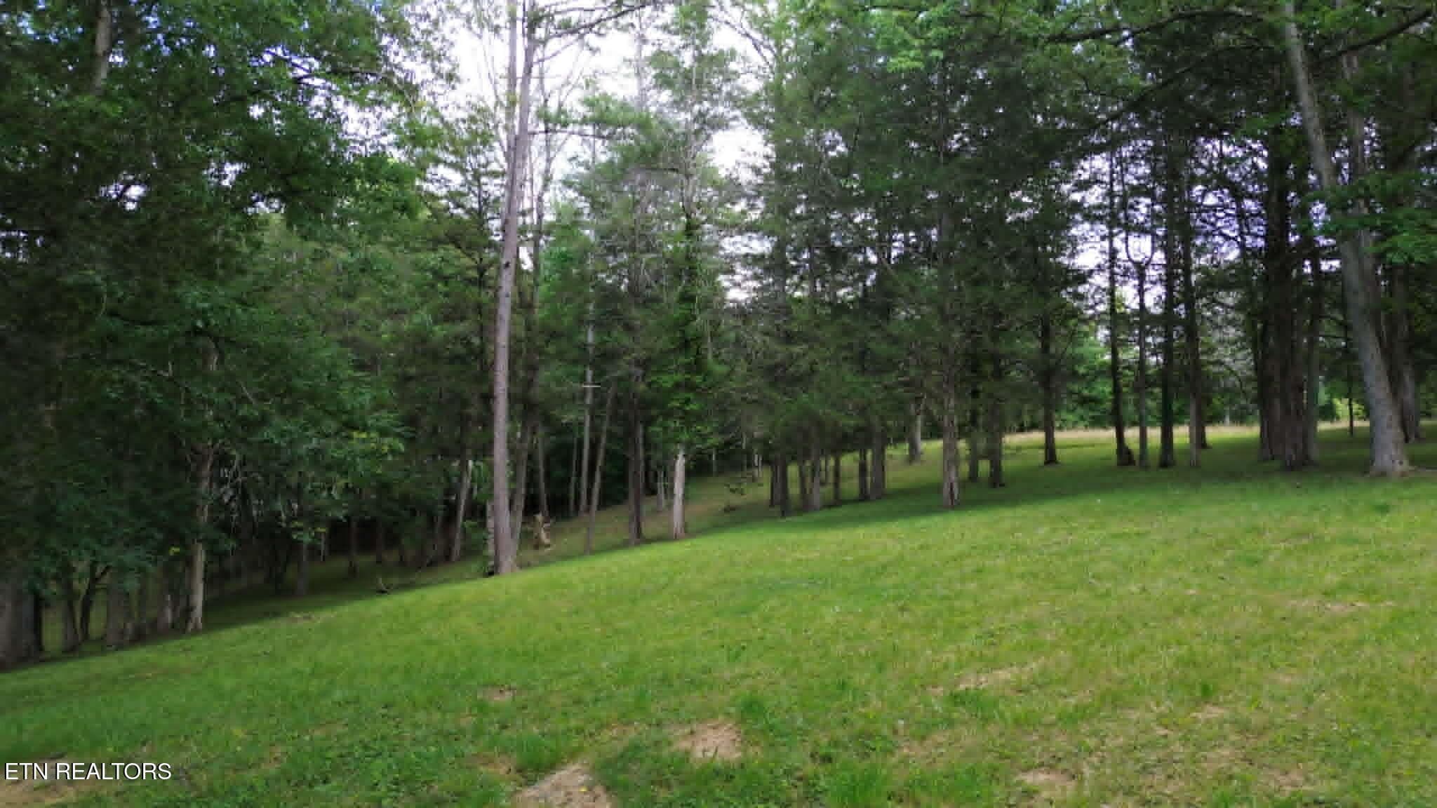 9e15b70d-edca-4511-9950-9f6147d6ad55 - 228 Marcella Rd, Cumberland Gap, TN 37724