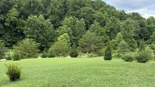 PERILLA VIEW 2 - 2410 Perilla Rd, Cosby, TN 37722