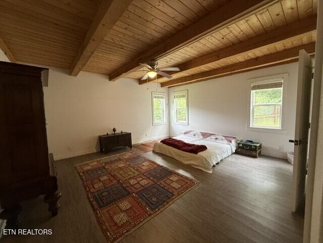 PERILLA MBR5 - 2410 Perilla Rd, Cosby, TN 37722
