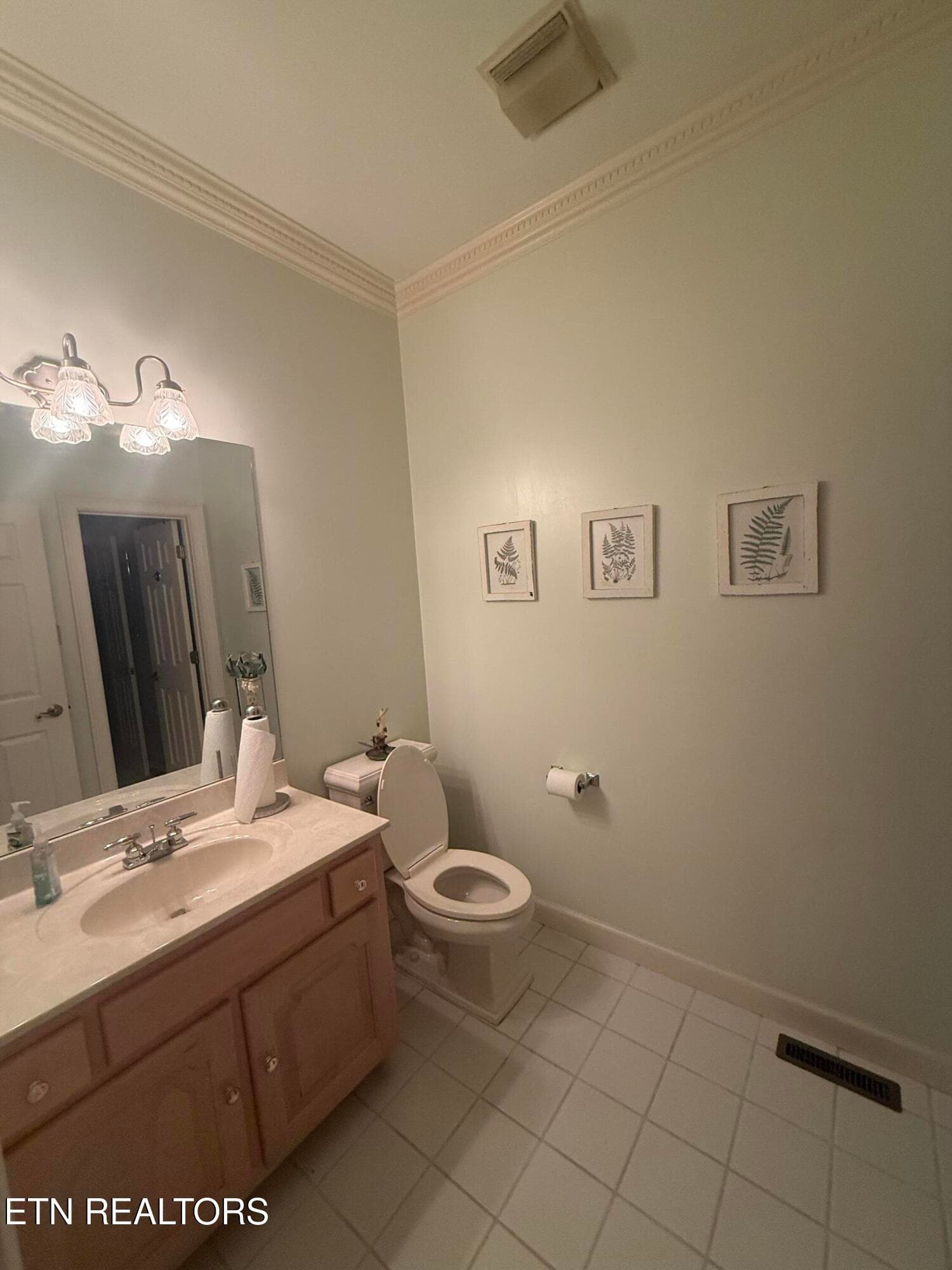 3rd bedroom bath - 1817 Peppertree Drive, Alcoa, TN 37701