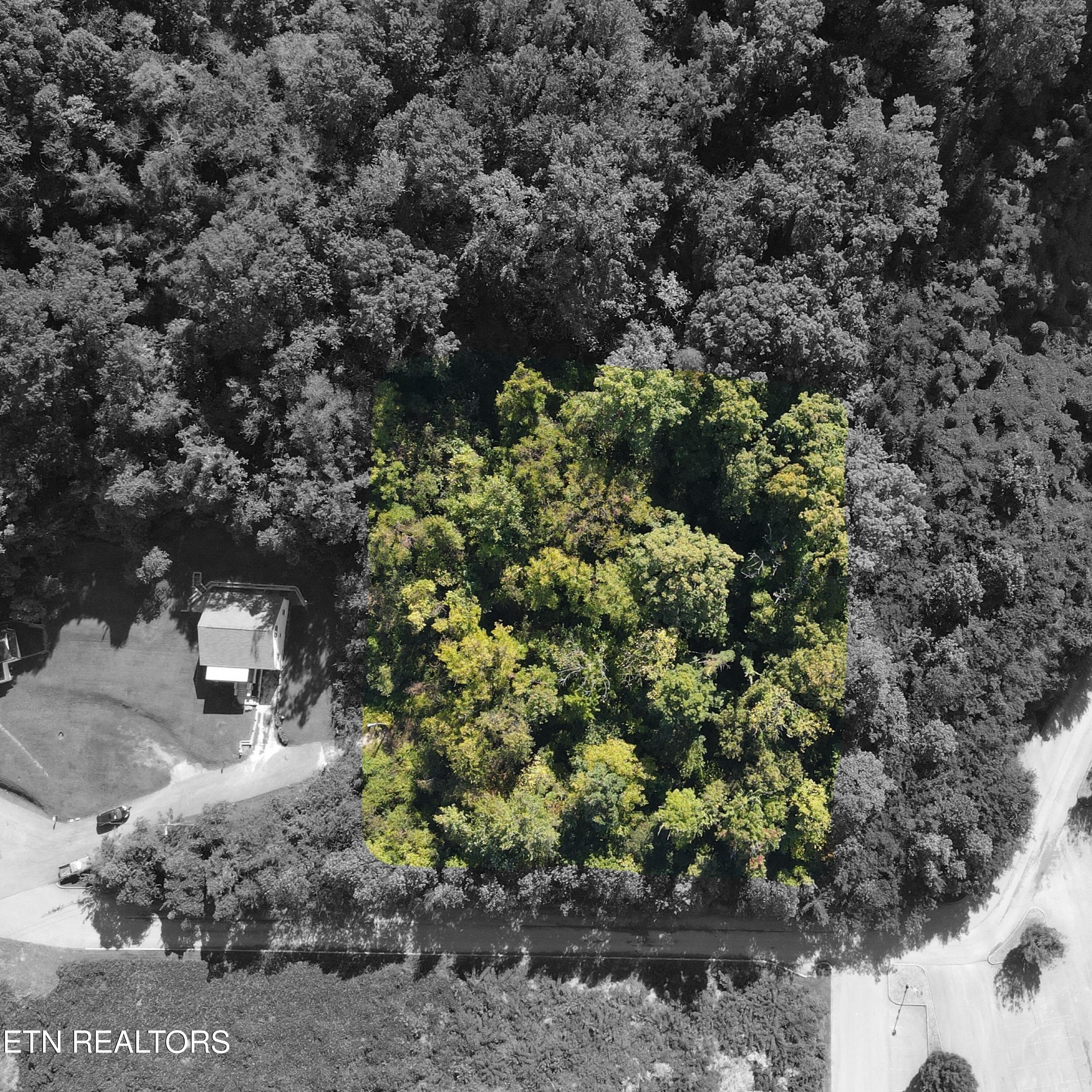 Above Area 1 pop - 0 Richmond Ave, Knoxville, TN 37921, Knoxville