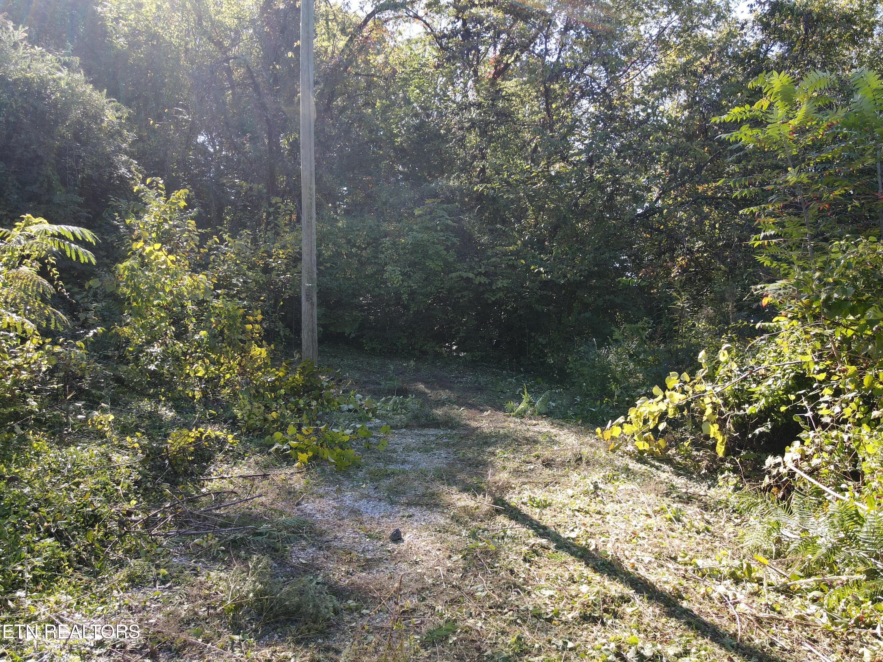 Cleared Entrance - 0 Richmond Ave, Knoxville, TN 37921, Knoxville