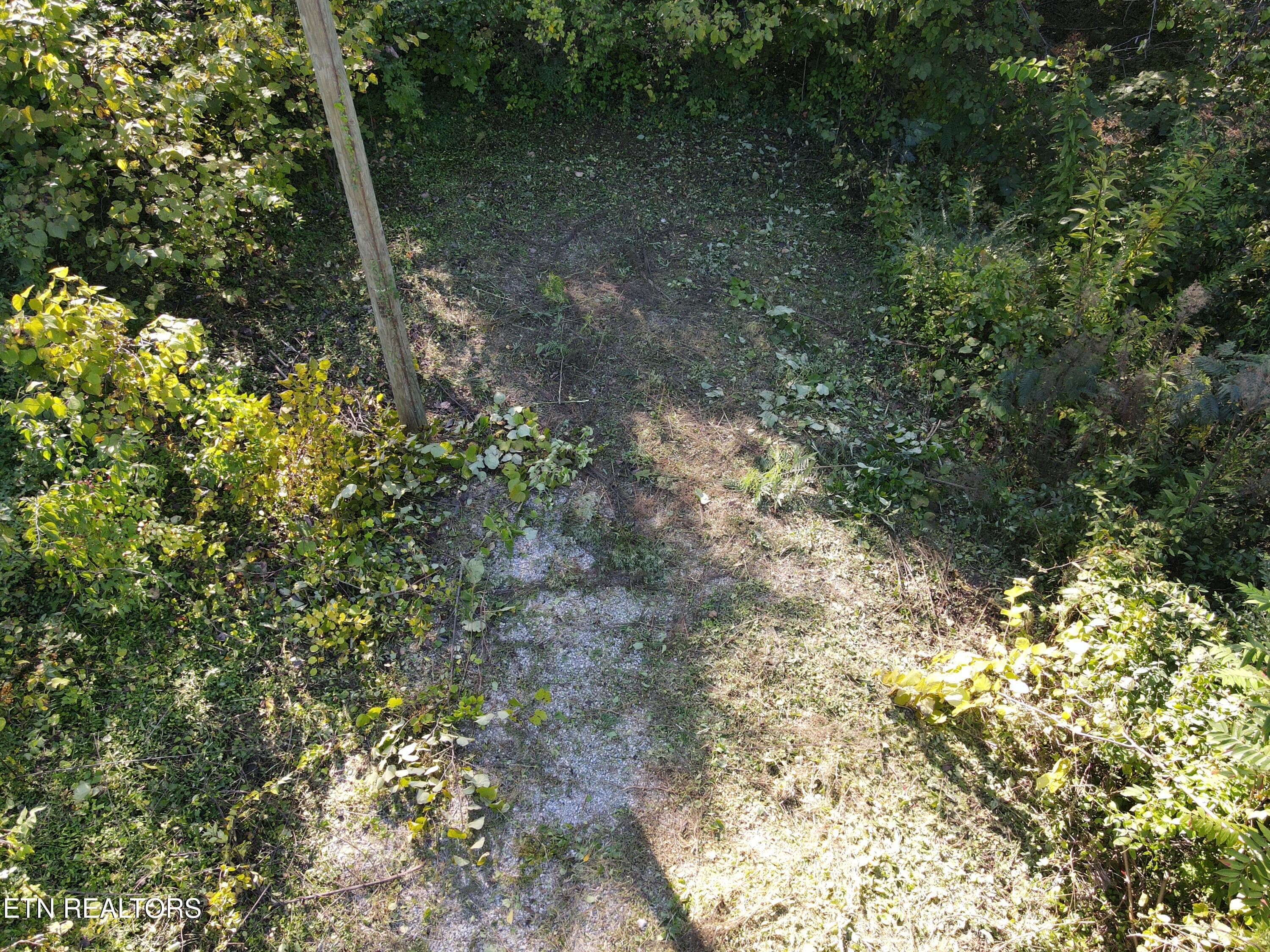 Above Entrance - 0 Richmond Ave, Knoxville, TN 37921, Knoxville