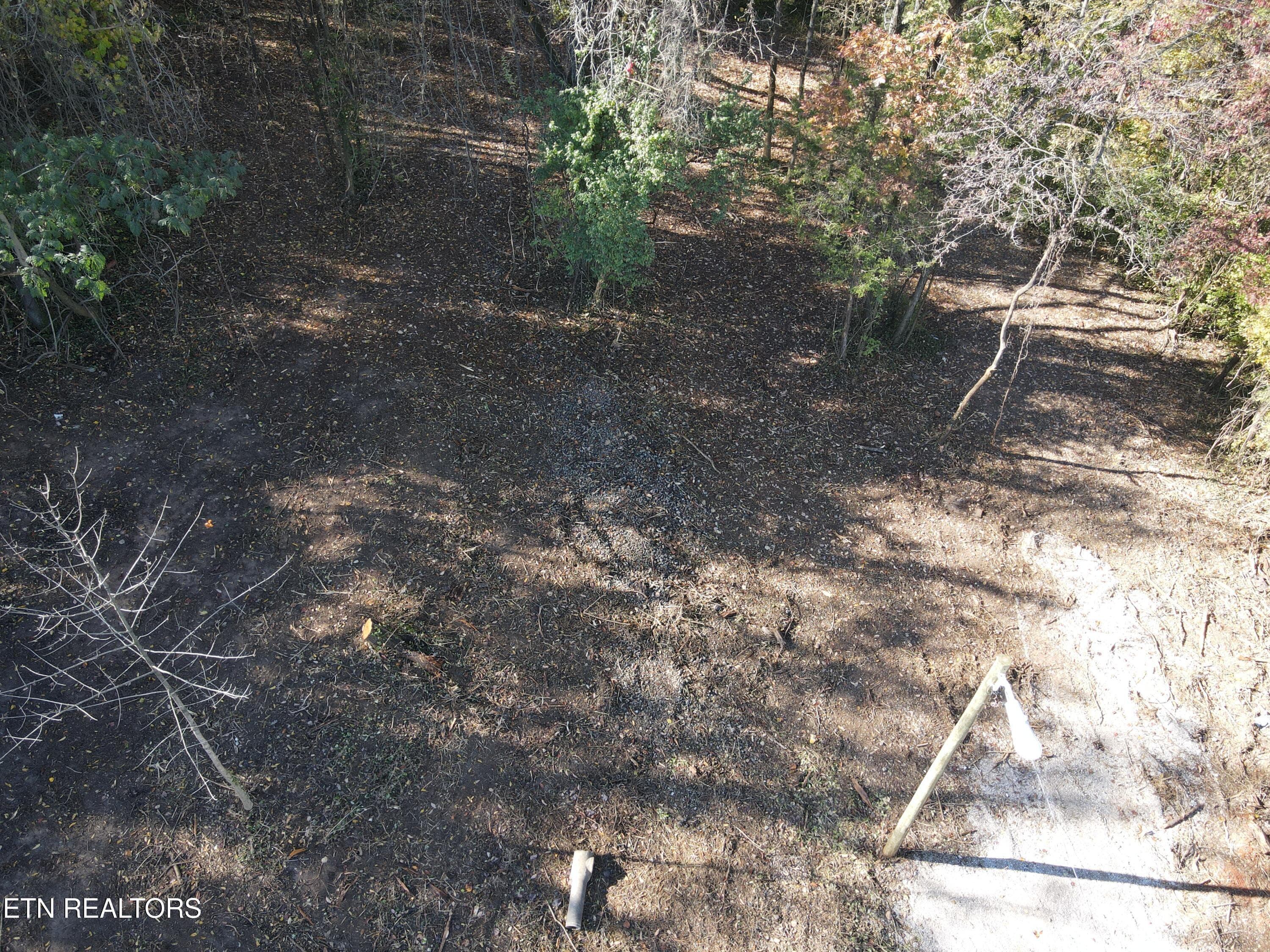 Cleared 1 - 0 Richmond Ave, Knoxville, TN 37921, Knoxville
