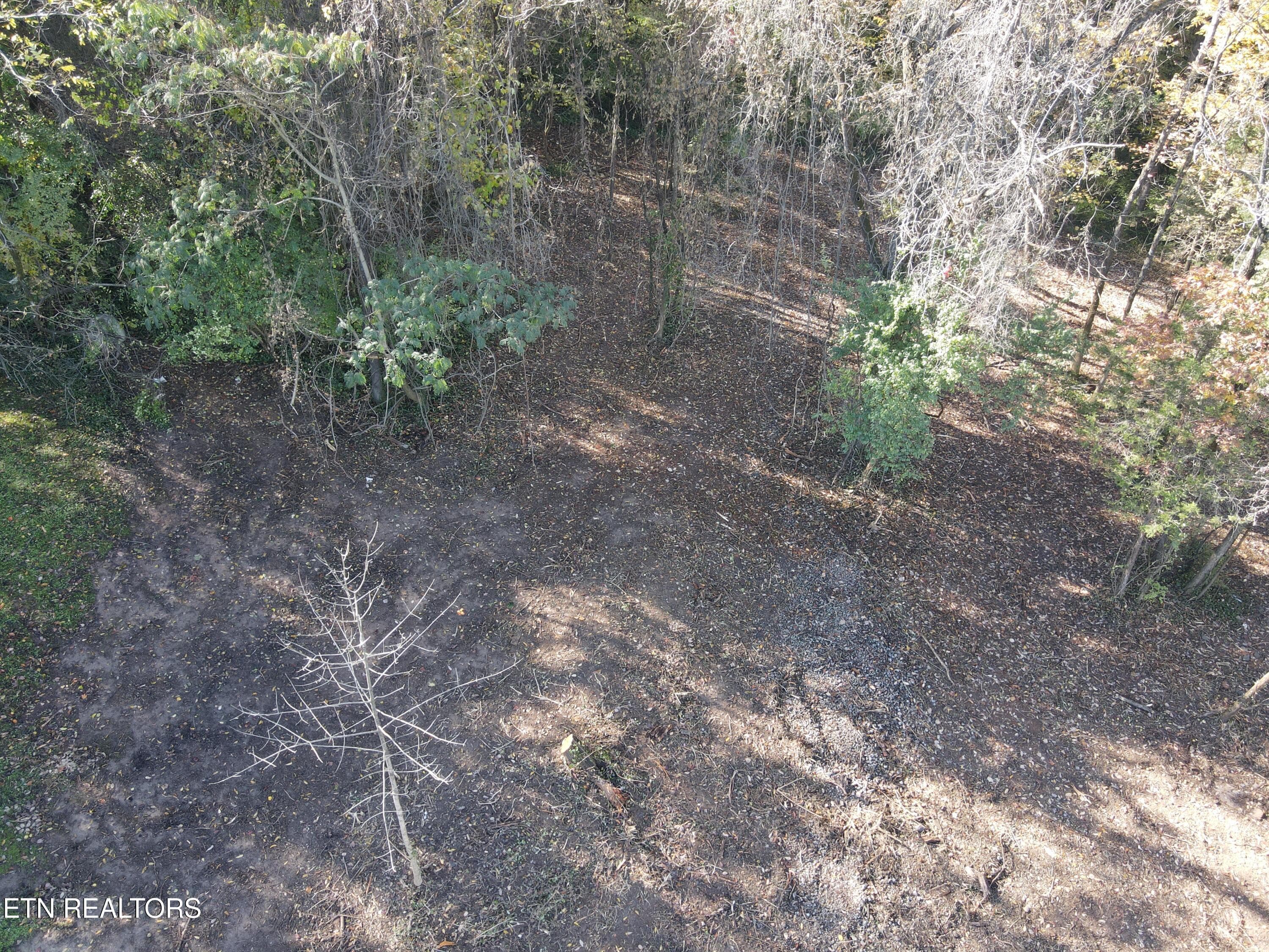 Cleared 2 - 0 Richmond Ave, Knoxville, TN 37921, Knoxville