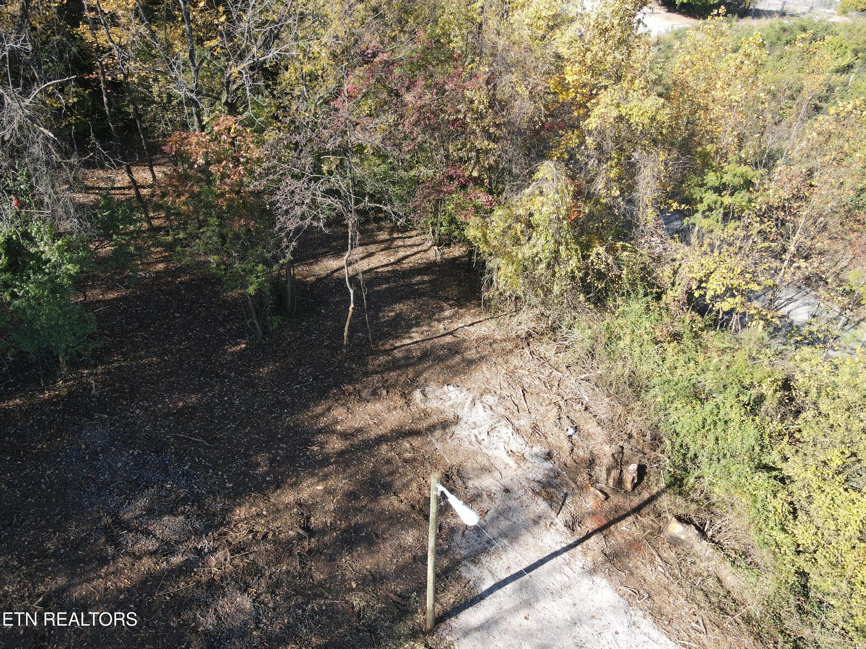 Cleared 3 - 0 Richmond Ave, Knoxville, TN 37921, Knoxville