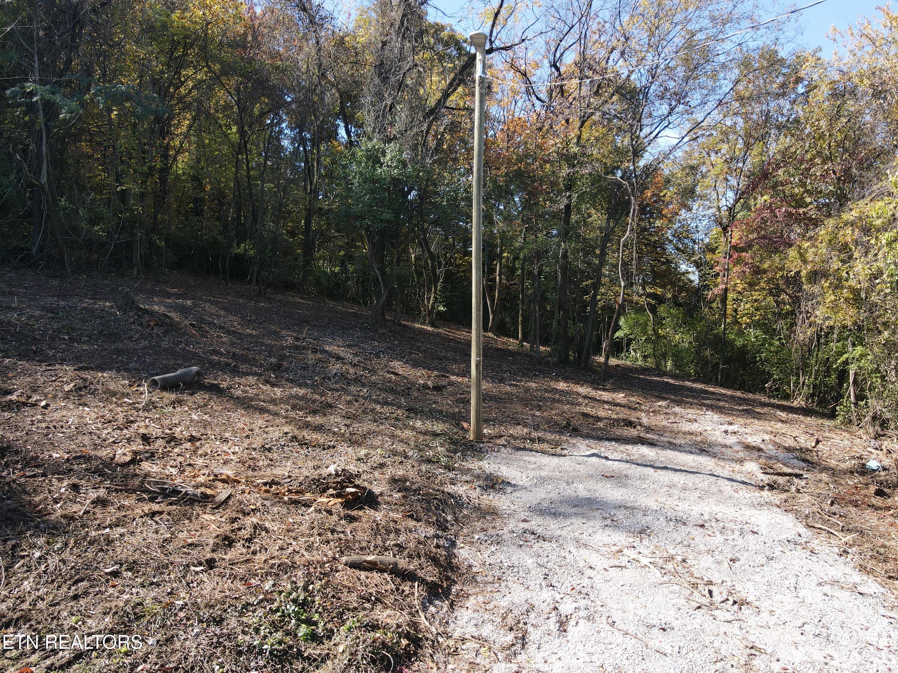 Cleared 4 - 0 Richmond Ave, Knoxville, TN 37921, Knoxville