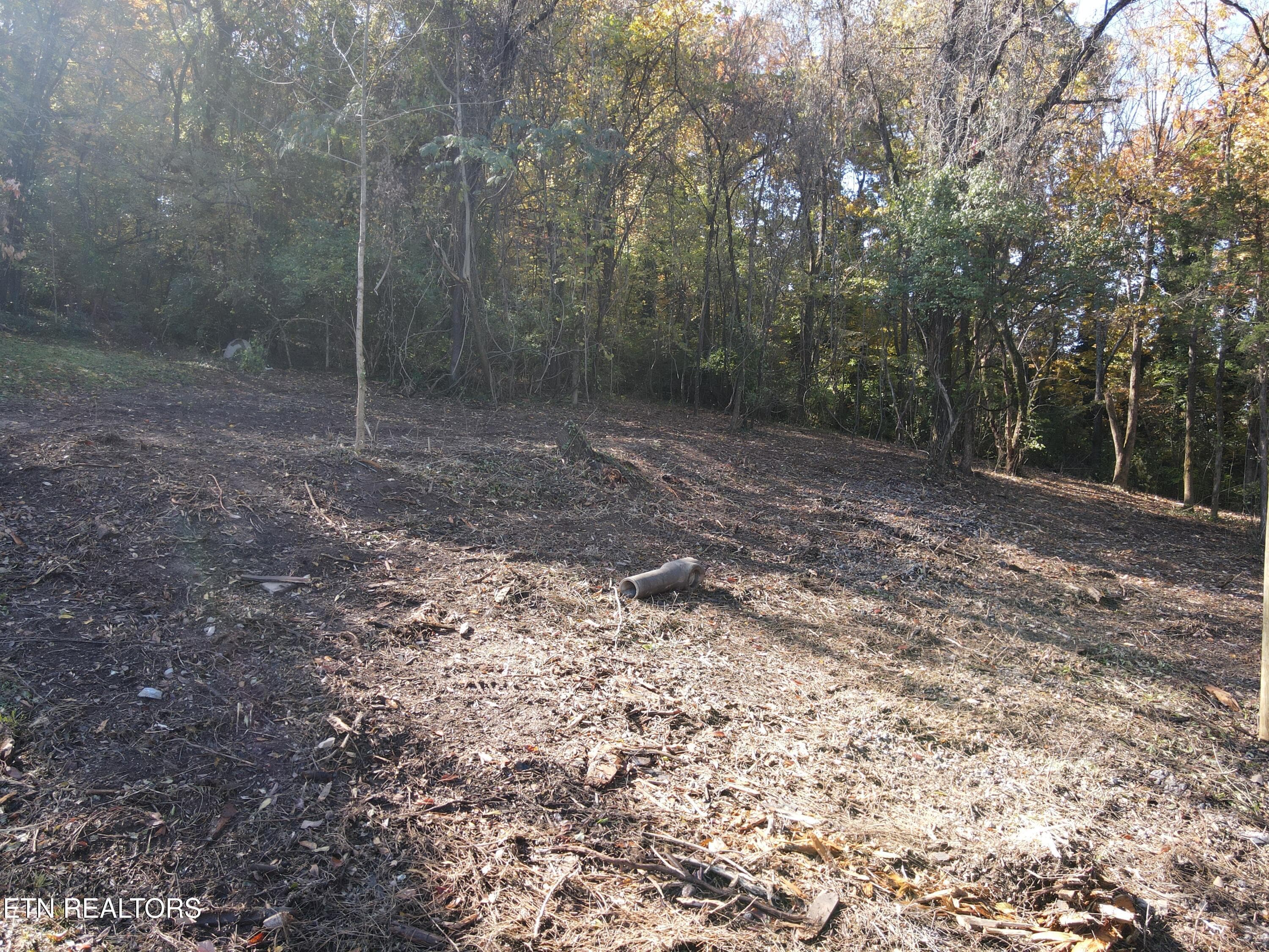 Cleared 5 - 0 Richmond Ave, Knoxville, TN 37921, Knoxville