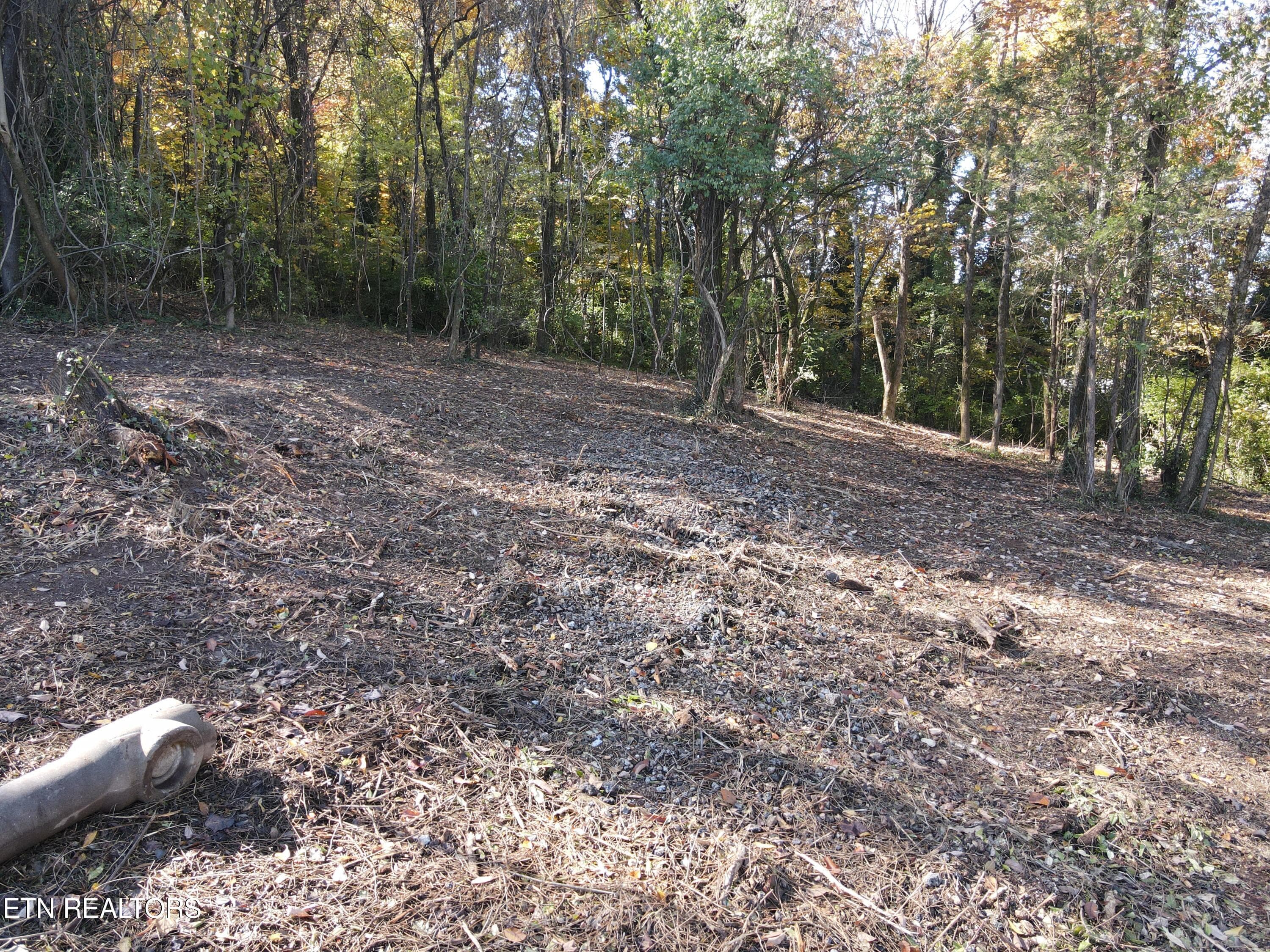 Cleared 6 - 0 Richmond Ave, Knoxville, TN 37921, Knoxville