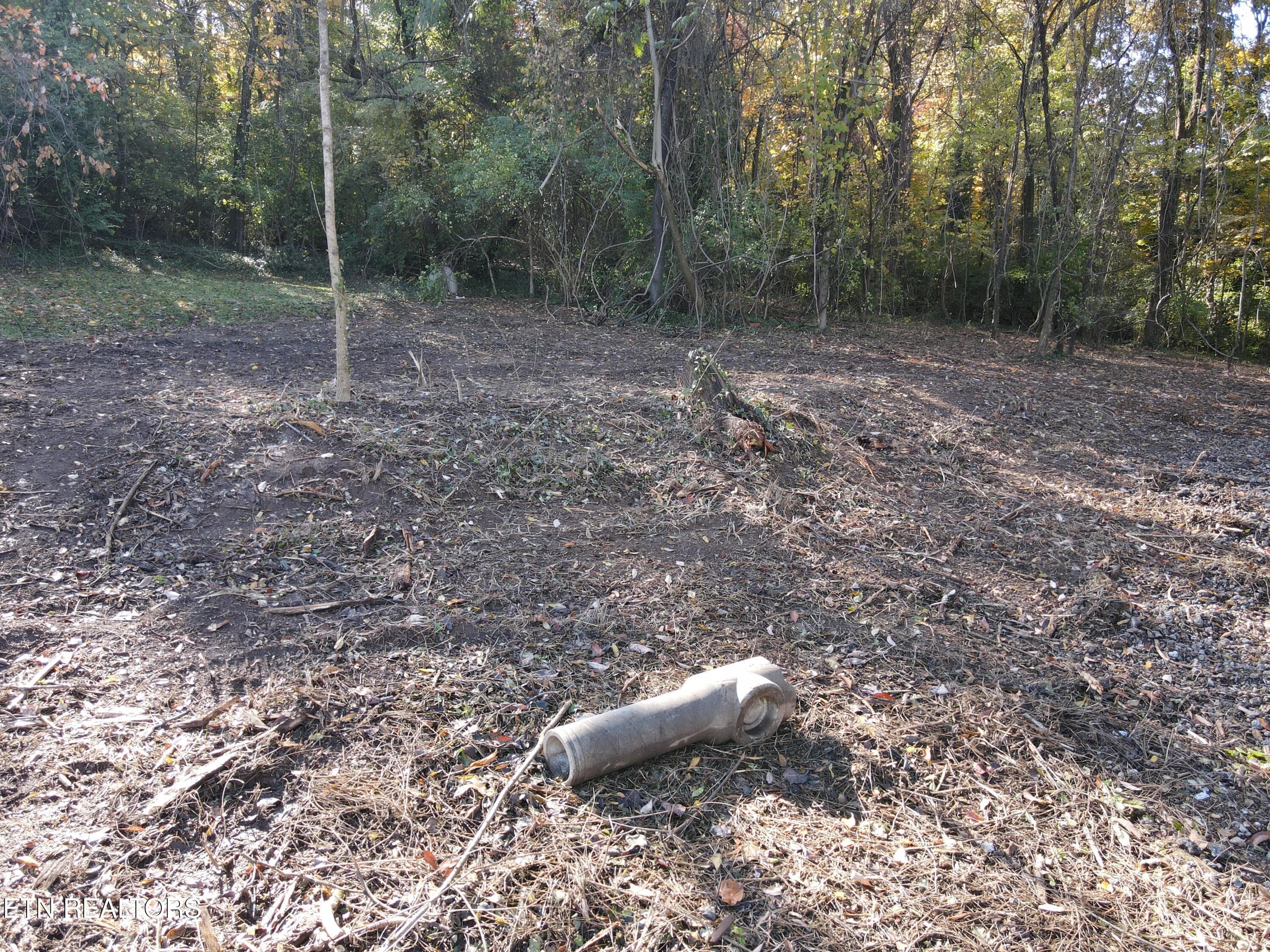 Cleared 7 - 0 Richmond Ave, Knoxville, TN 37921, Knoxville