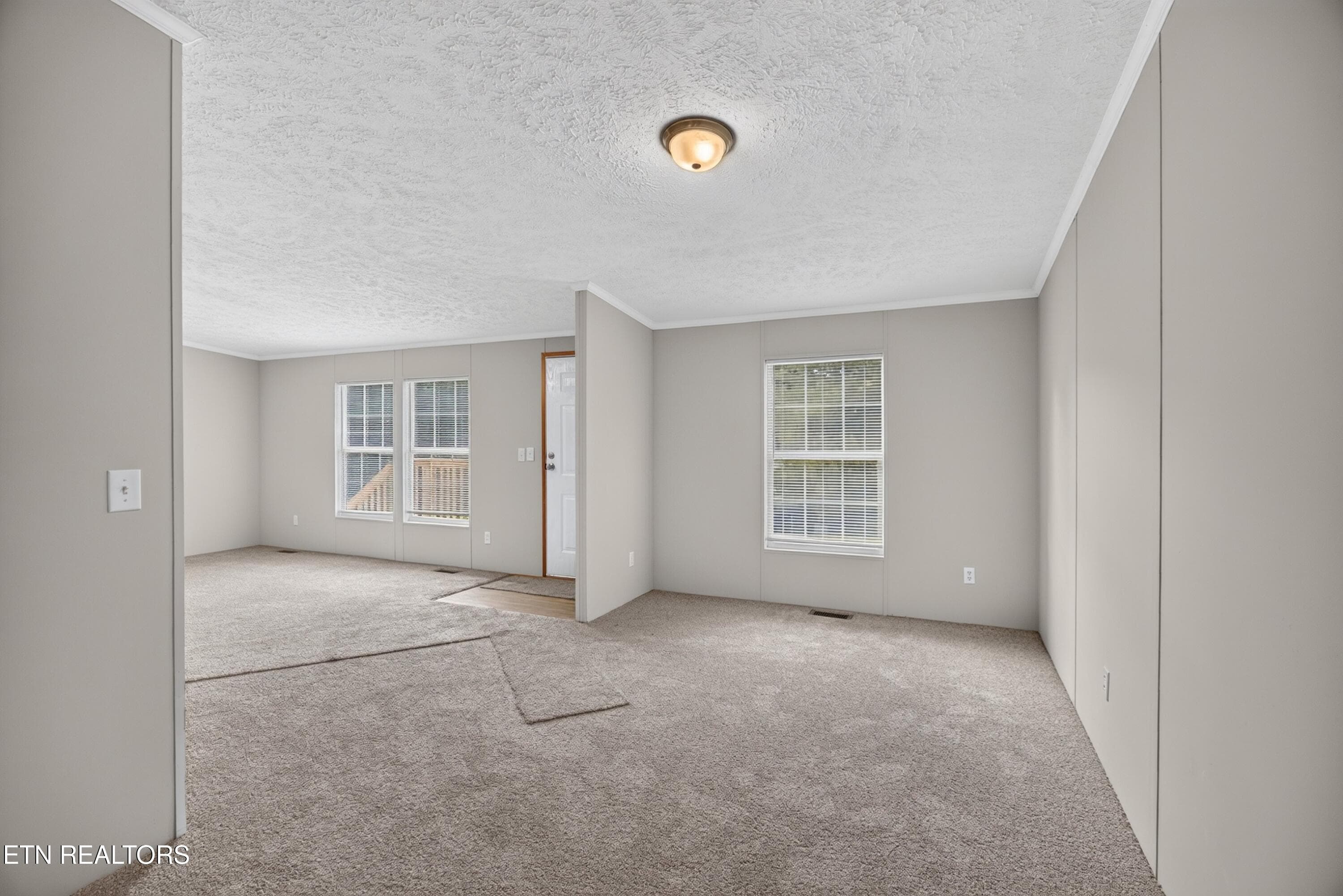 010-137MorrisonSubdivisionRoad-Oakdale-T - 137 Morrison Subdivision Rd, Oakdale, TN 37829