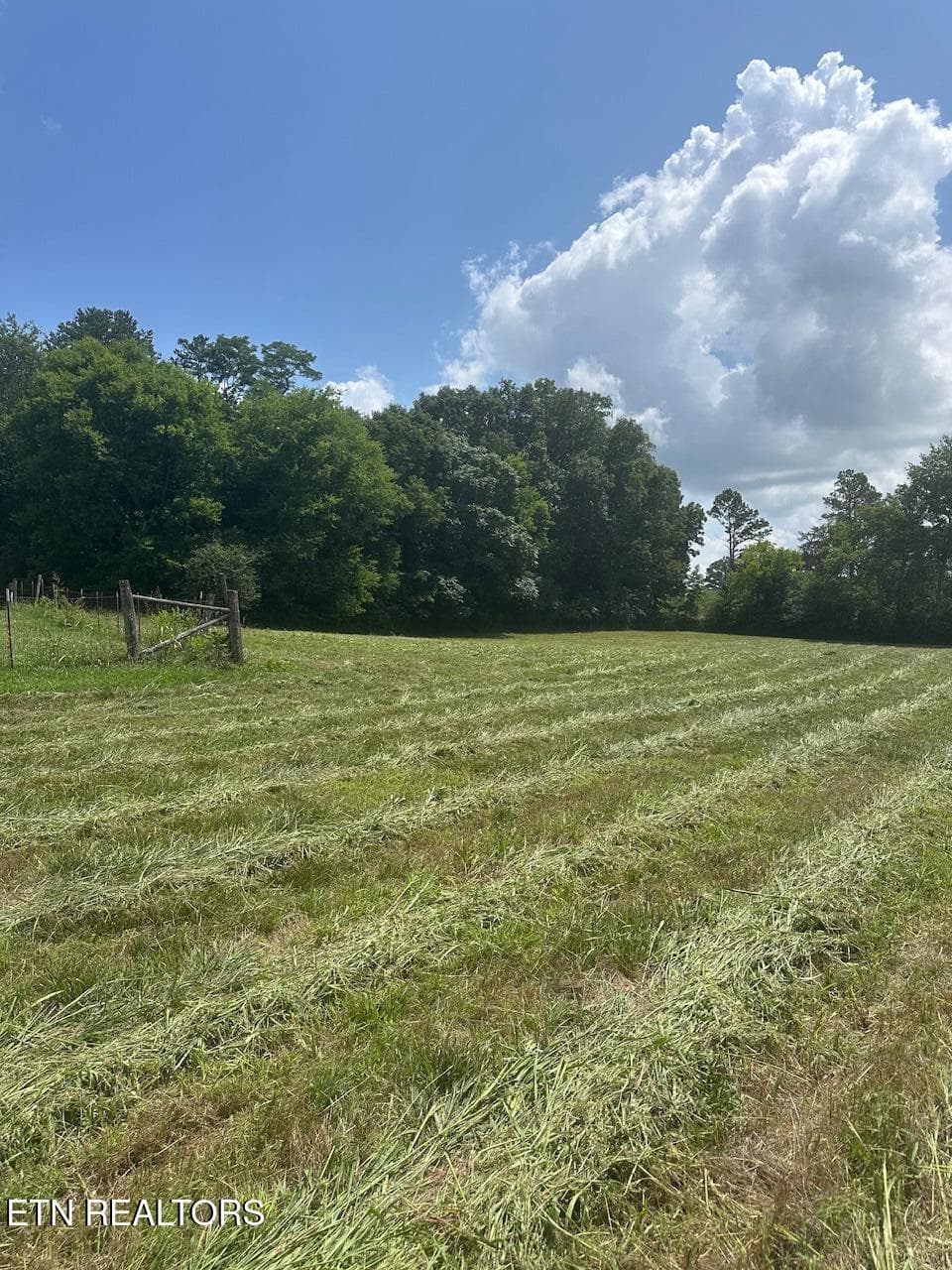 IMG_1197 - 1035 Green Rd, Madisonville, TN 37354