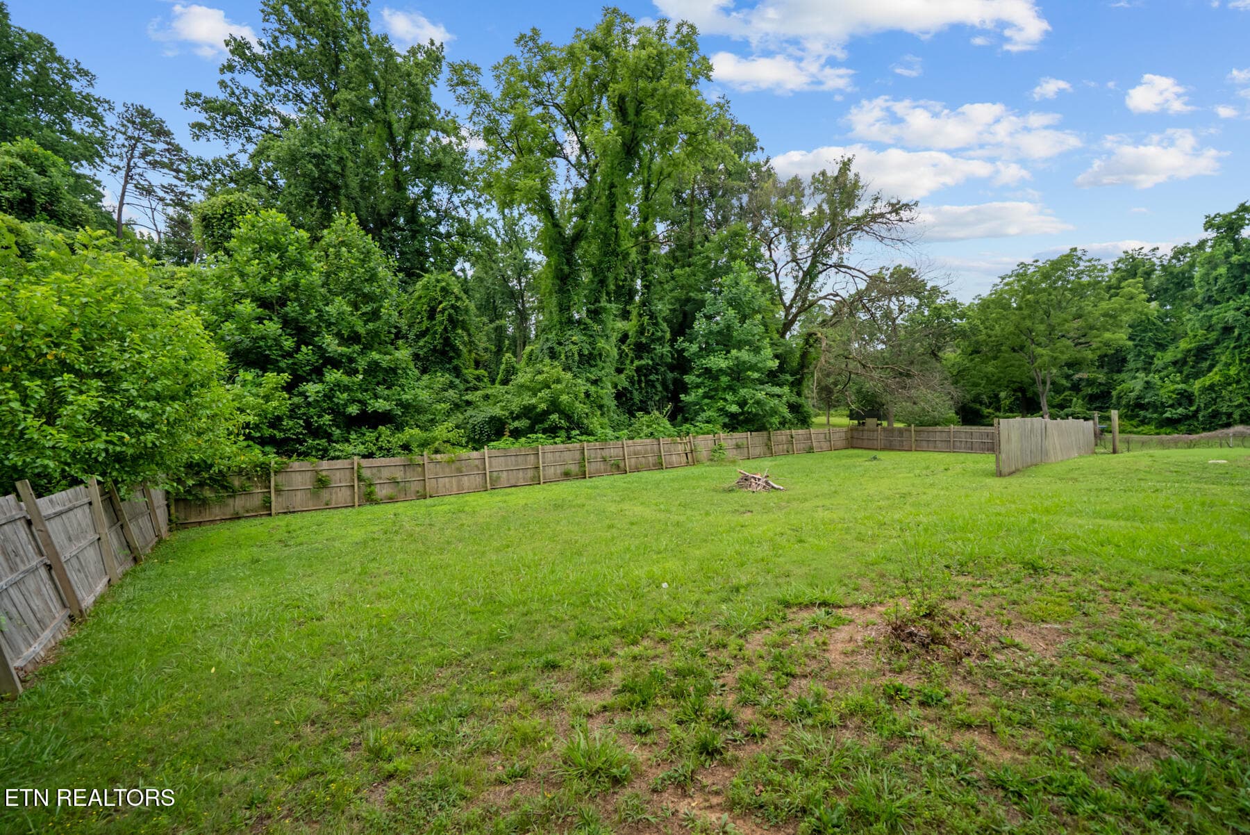 DSC04467 - 3518 Delrose Drive, Knoxville, TN 37914