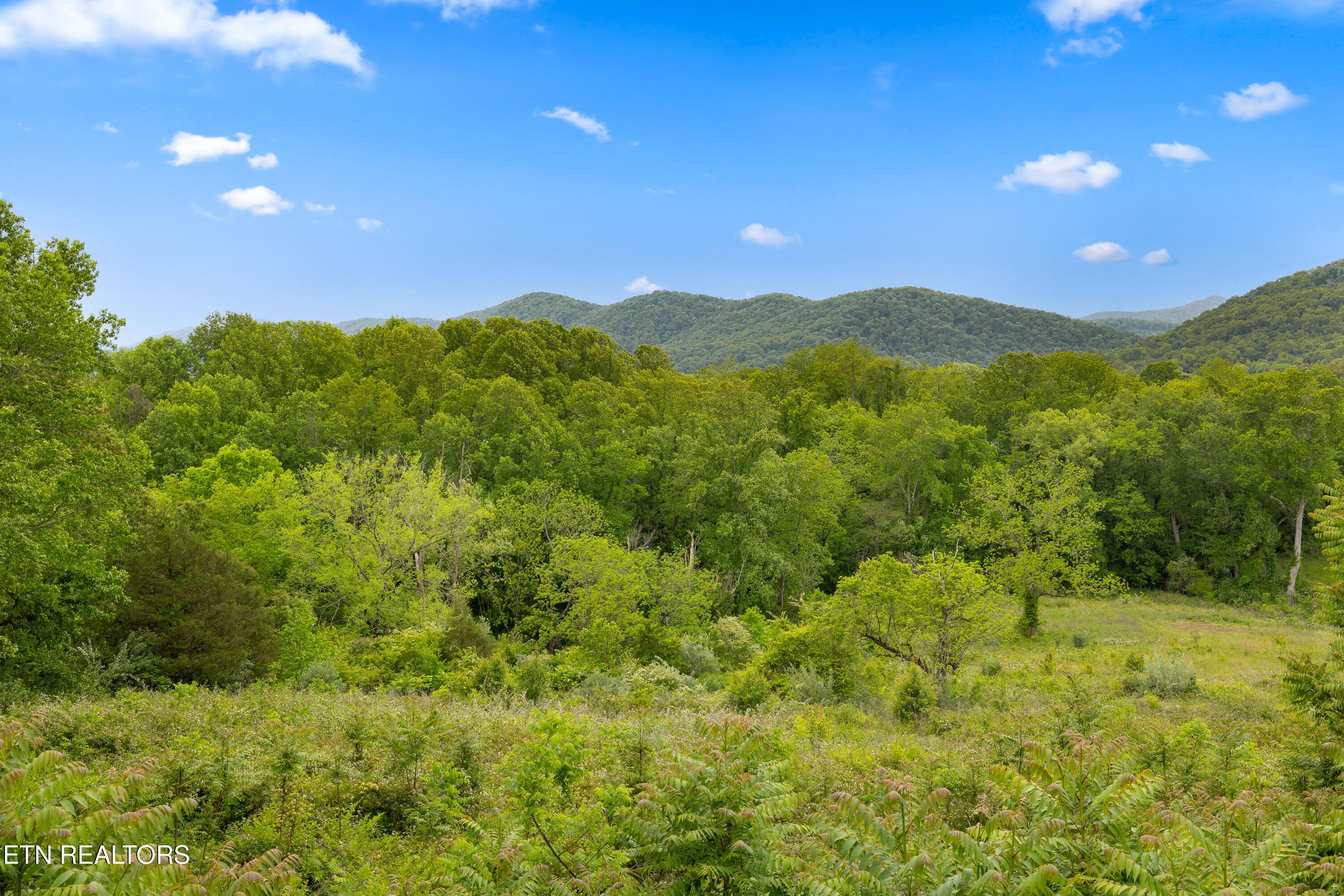 Positive Perceptions-25 - 212 Poppy Hill Lane, LaFollette, TN 37766