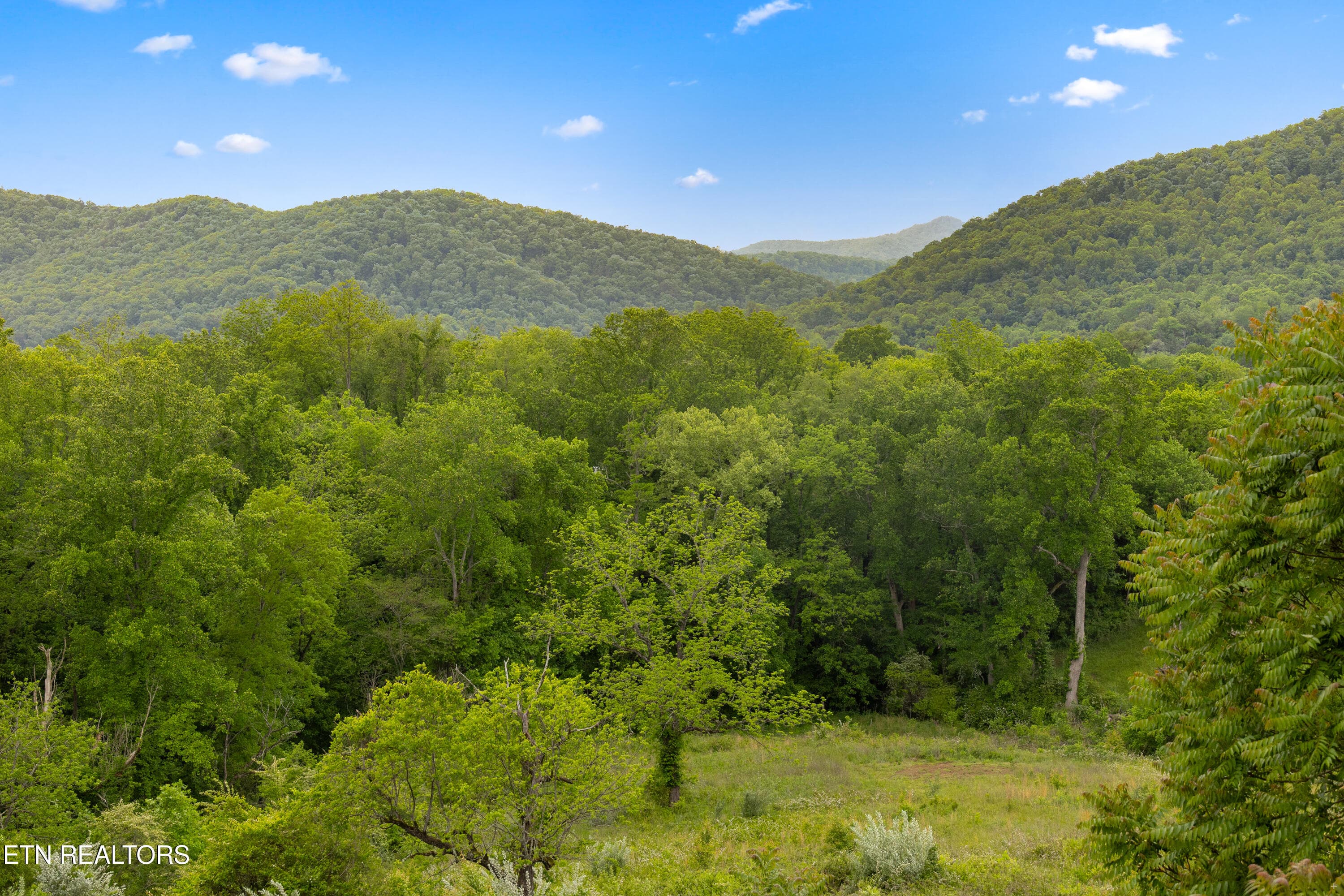 Positive Perceptions-14 - 212 Poppy Hill Lane, LaFollette, TN 37766