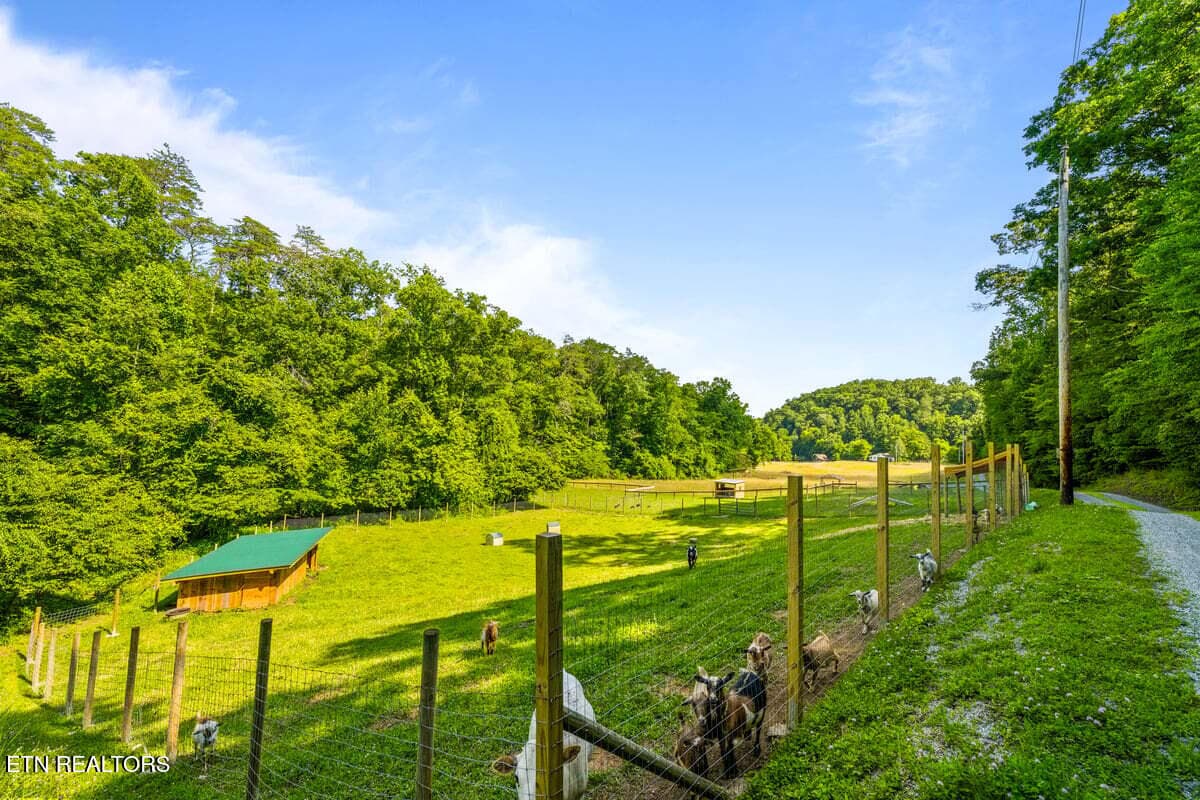 237 Foster Rd 57 - 237 Foster Rd, Heiskell, TN 37754