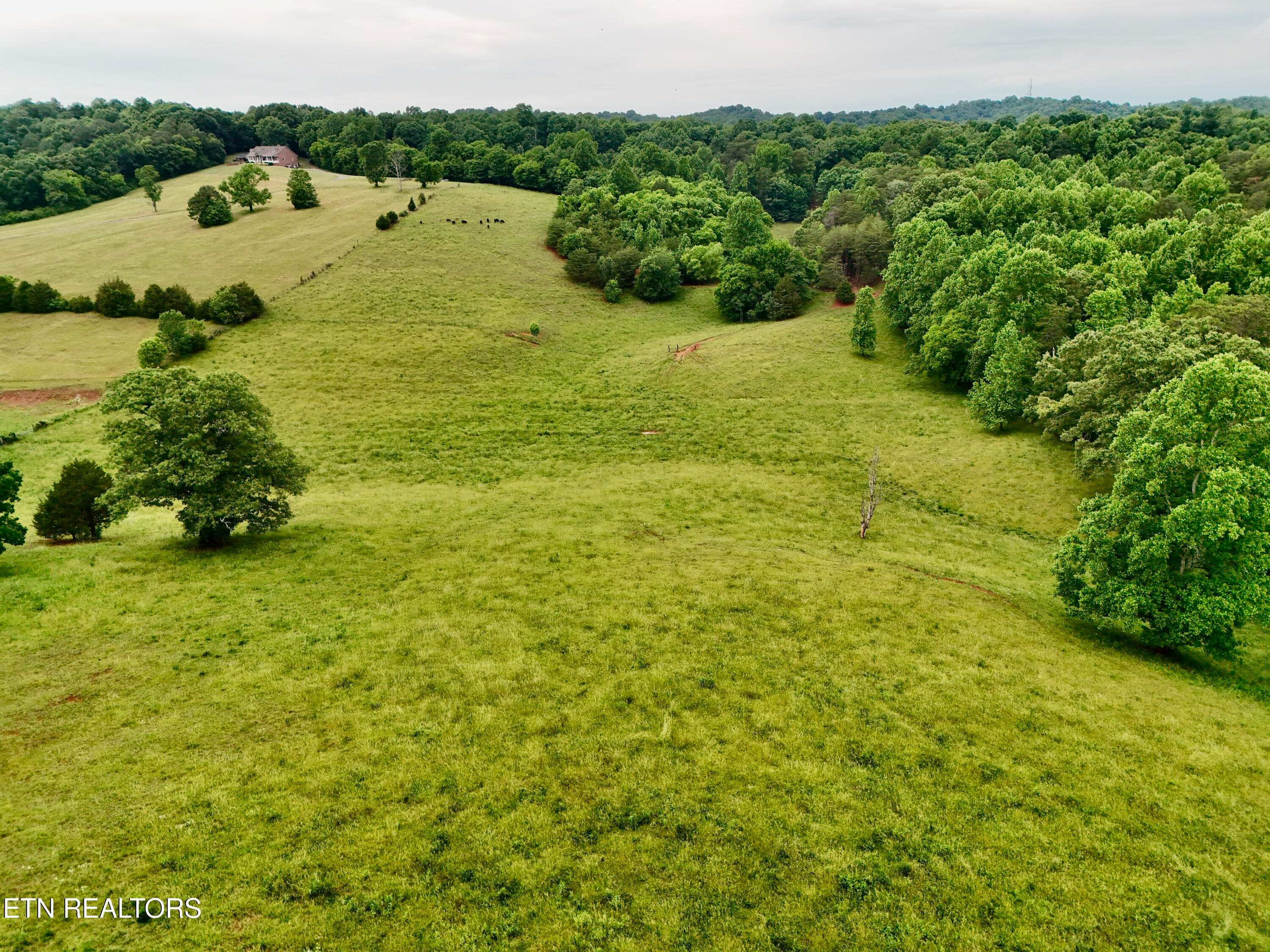 4.1 - 630 Kenny Brook Lane, Greenback, TN 37742