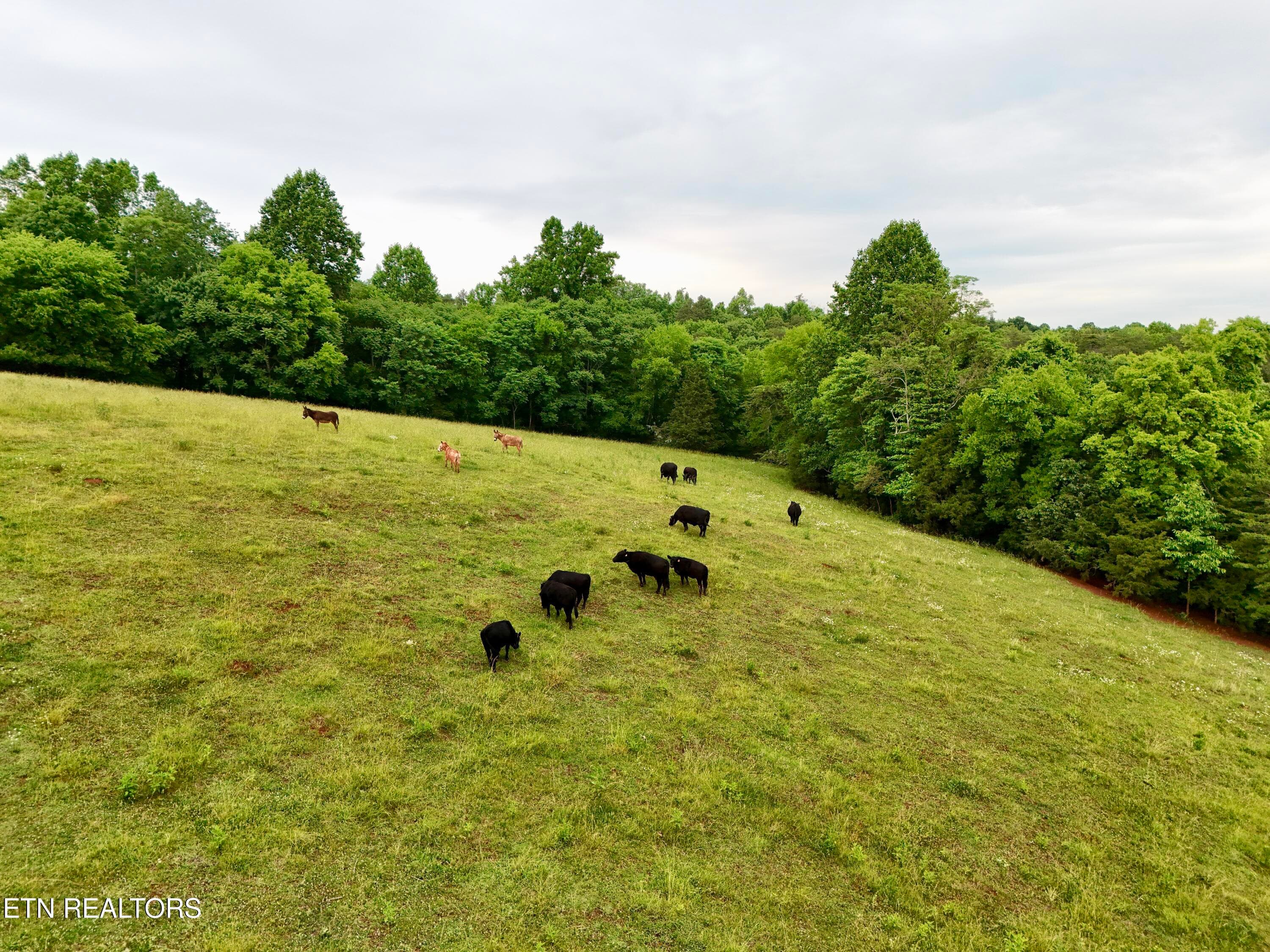 43 - 630 Kenny Brook Lane, Greenback, TN 37742