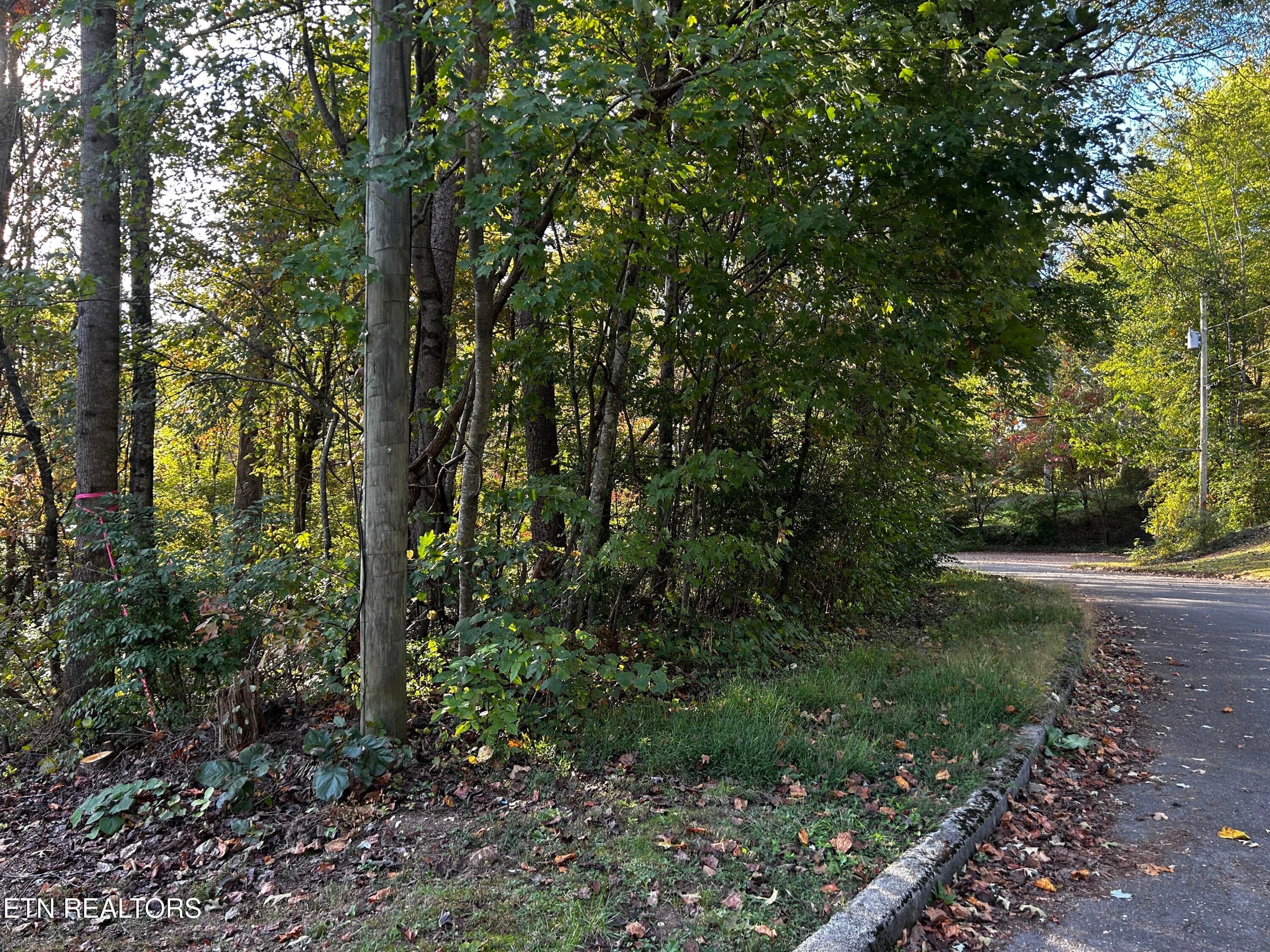IMG_2085 - Lot 18 Revere Ave, Clinton, TN 37716