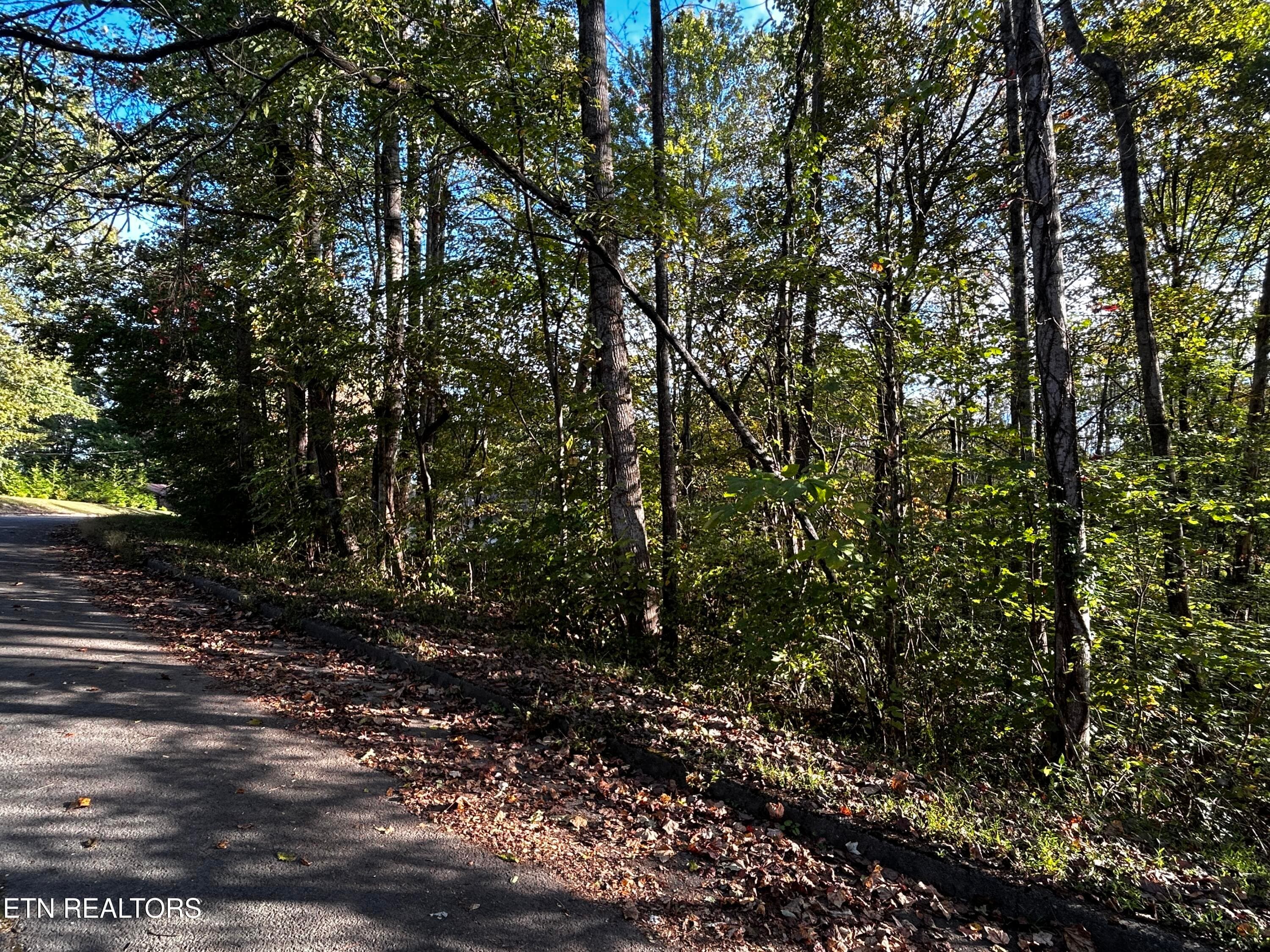 IMG_2089 - Lot 18 Revere Ave, Clinton, TN 37716