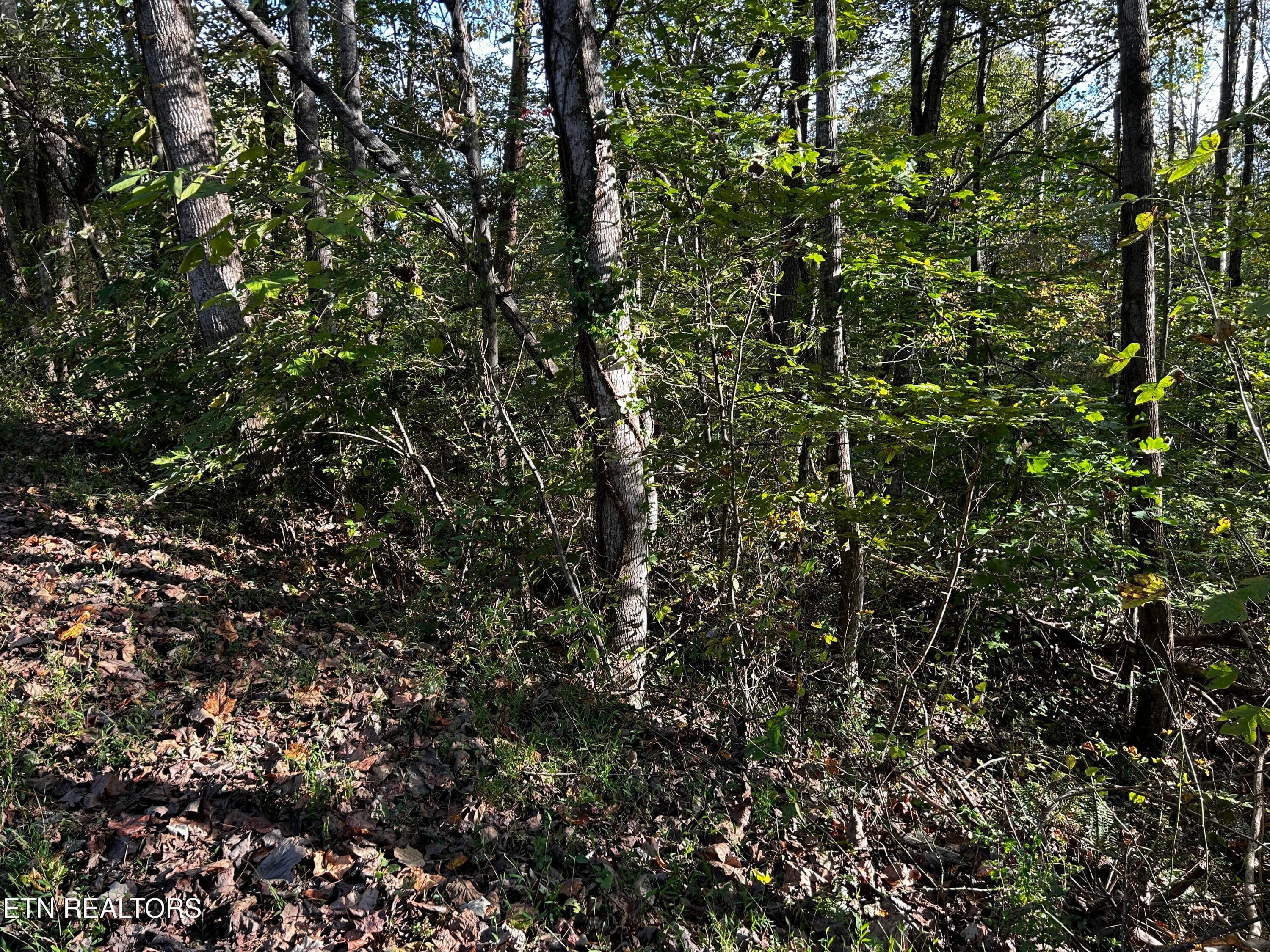 IMG_2096 - Lot 18 Revere Ave, Clinton, TN 37716