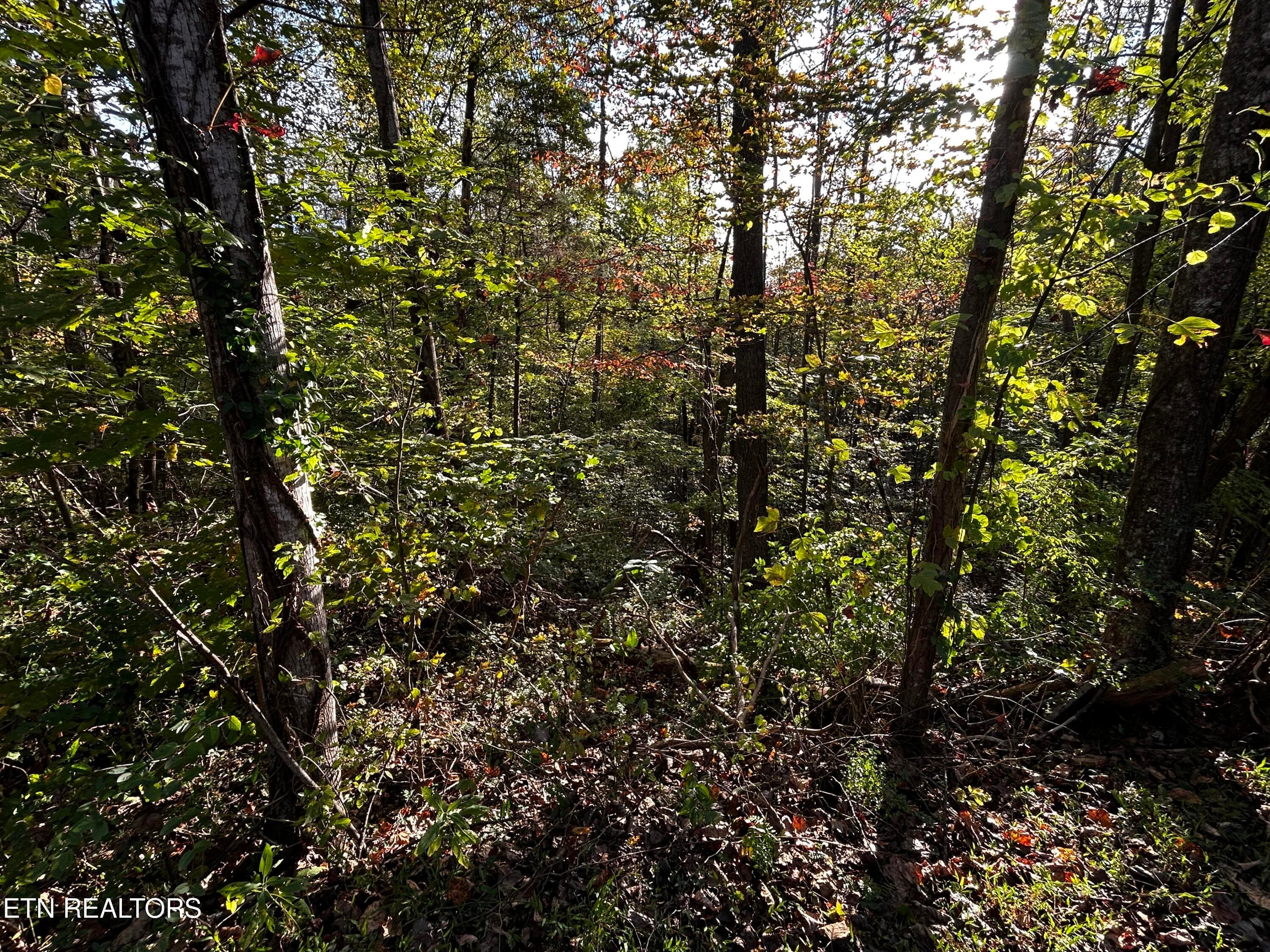 IMG_2099 - Lot 18 Revere Ave, Clinton, TN 37716