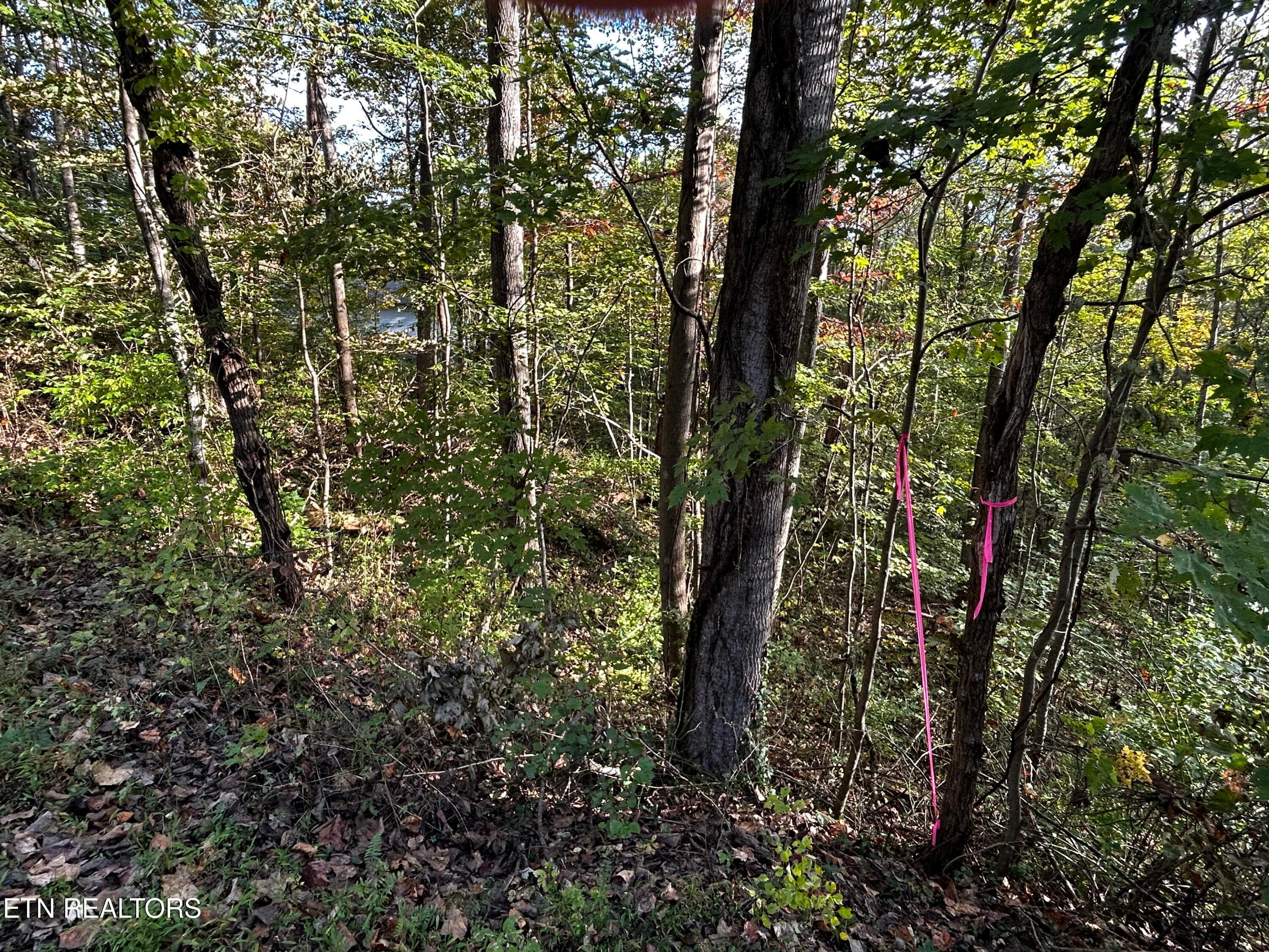 IMG_2092 - Lot 18 Revere Ave, Clinton, TN 37716
